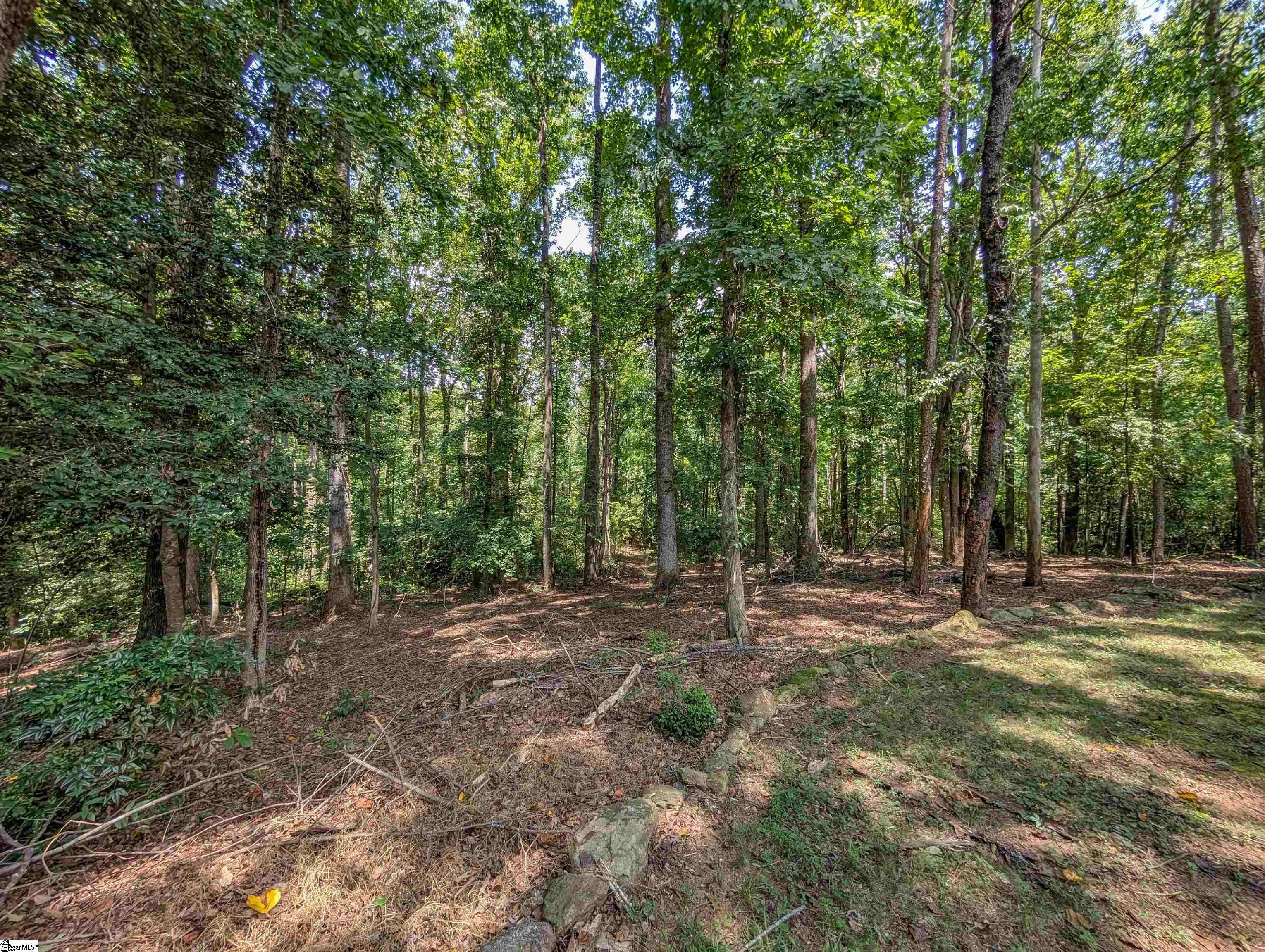 255 Oak Road Property Photo 47