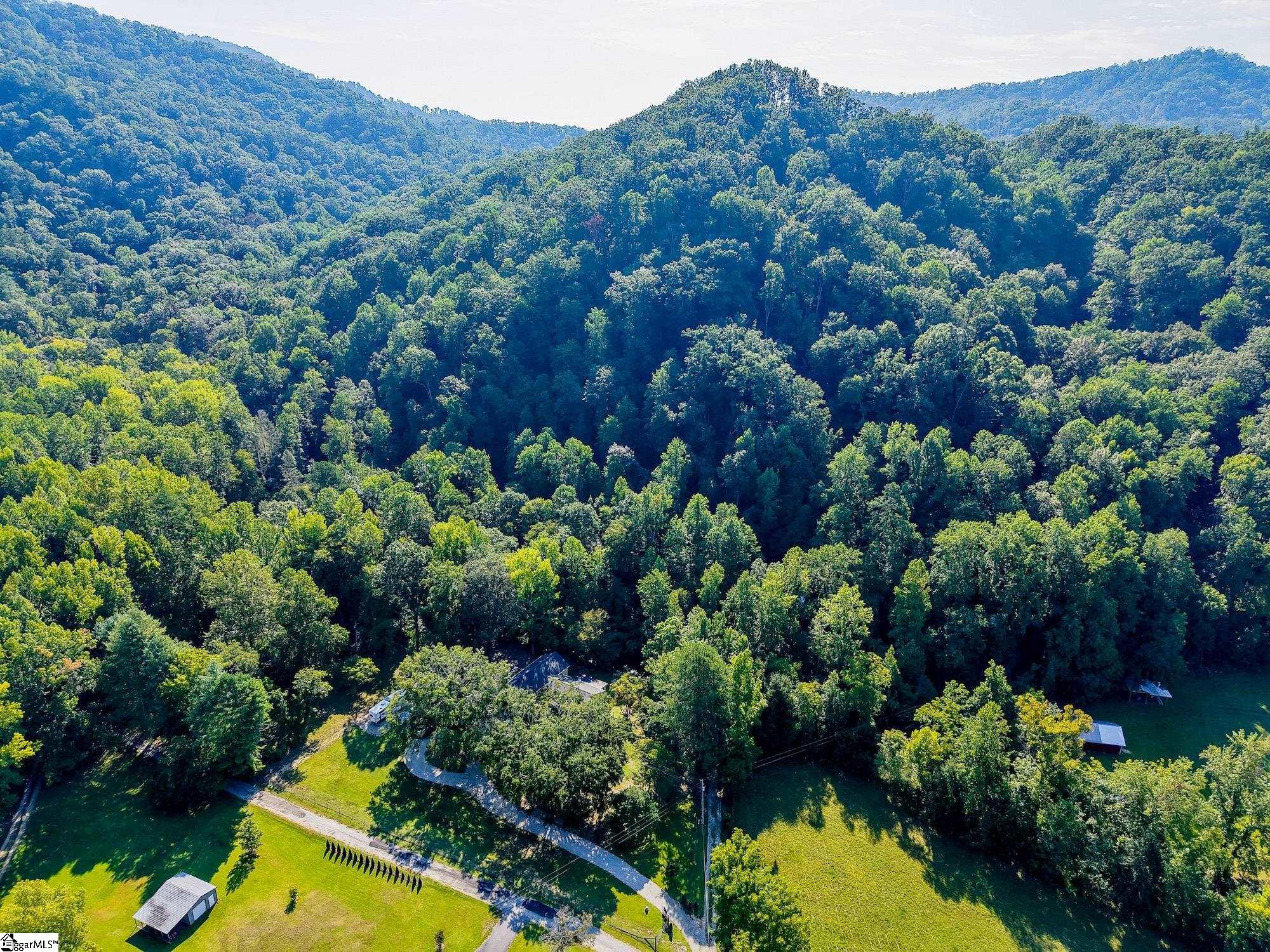 107 Holcombs Hollow Road Property Photo 39