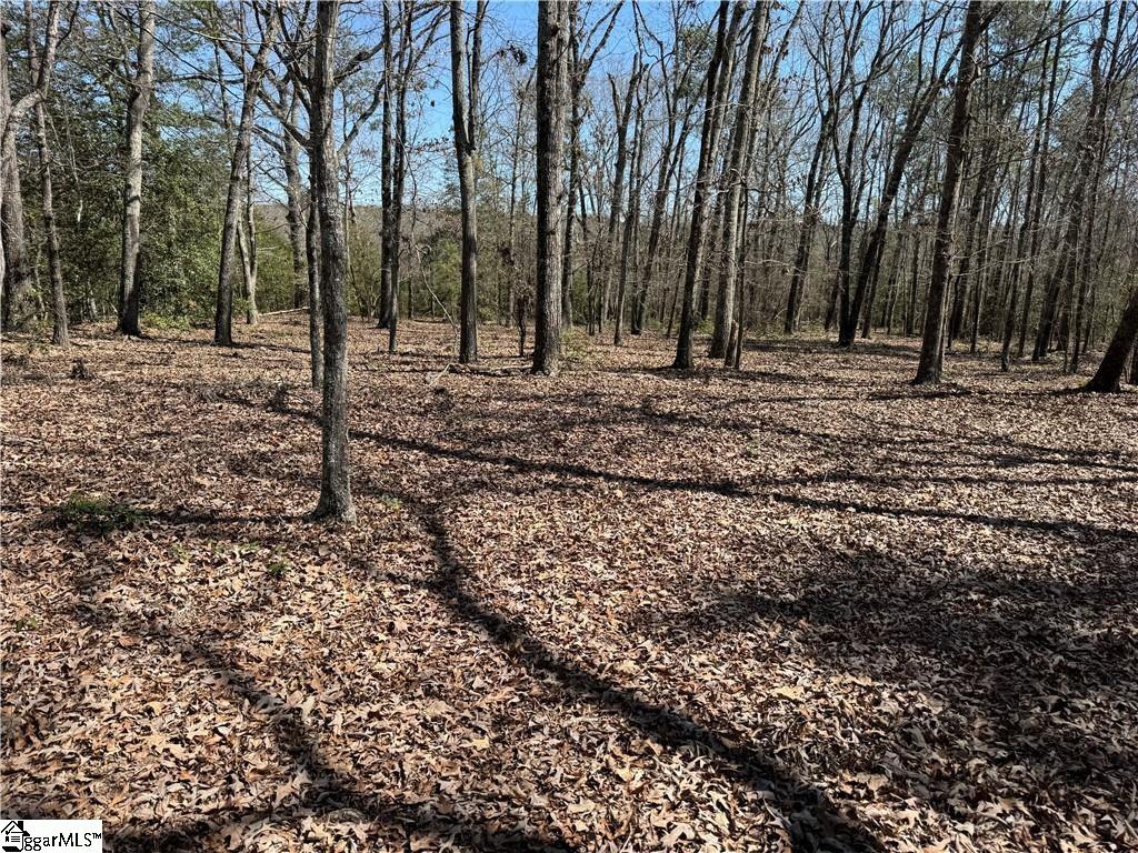 0 Golden Hickory Drive Property Photo 1