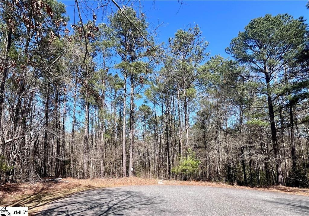 0 Golden Hickory Drive Property Photo 3