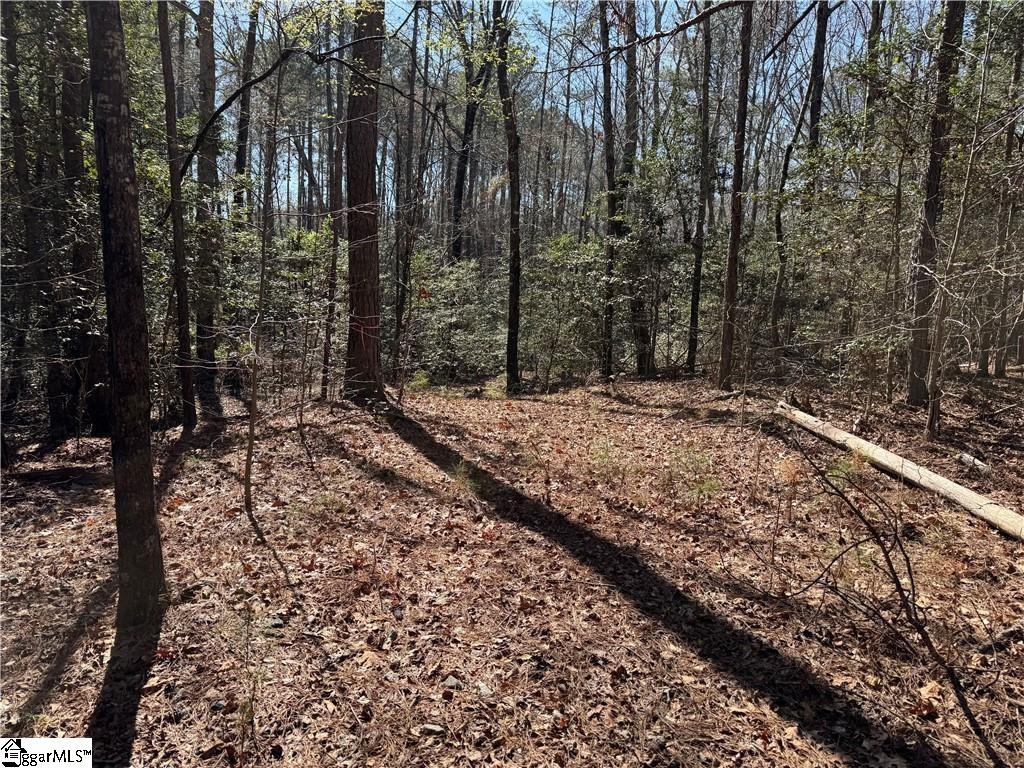 0 Golden Hickory Drive Property Photo 7