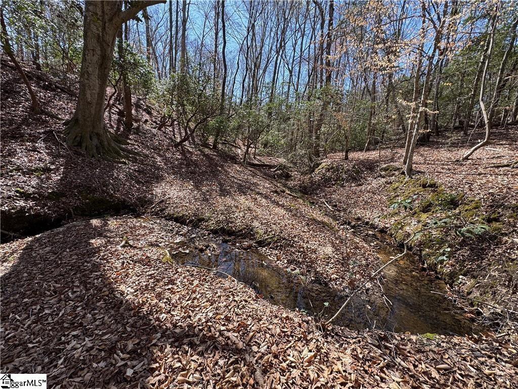 0 Golden Hickory Drive Property Photo 16