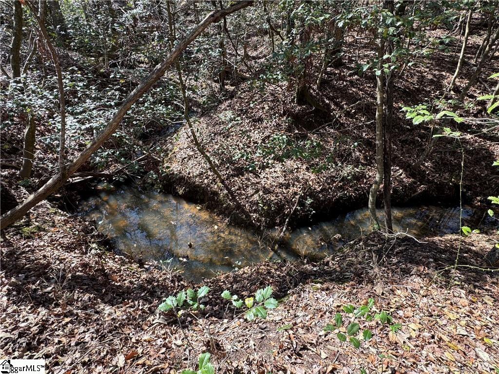 0 Golden Hickory Drive Property Photo 18