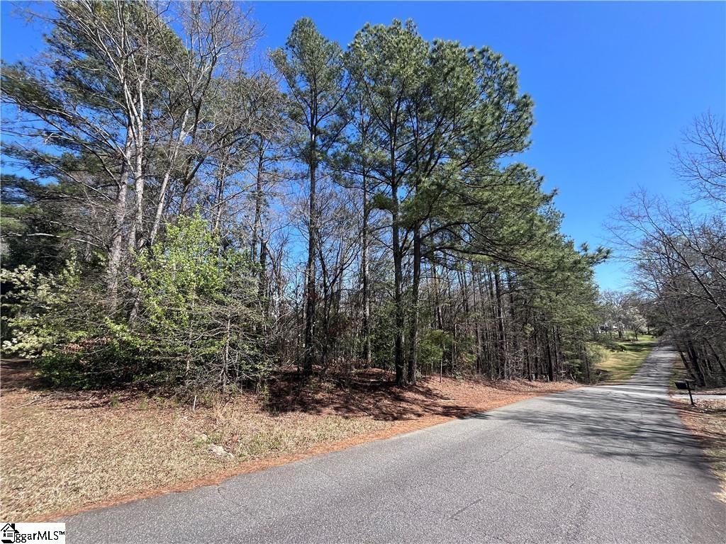 0 Golden Hickory Drive Property Photo 19