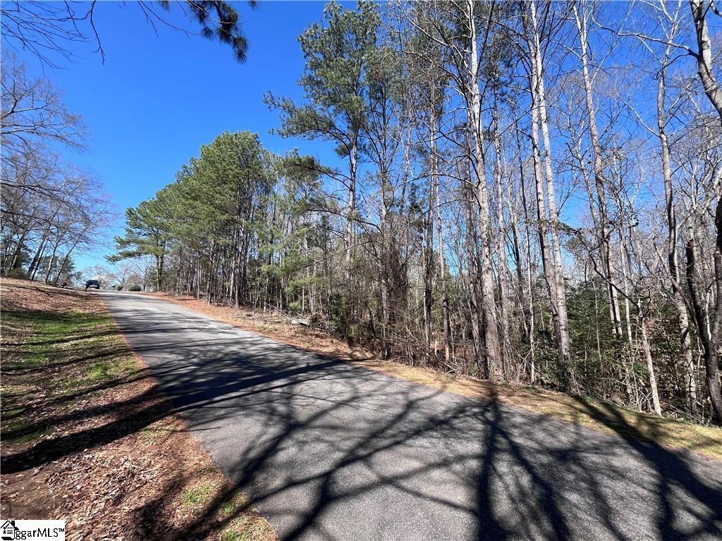 0 Golden Hickory Drive Property Photo 20
