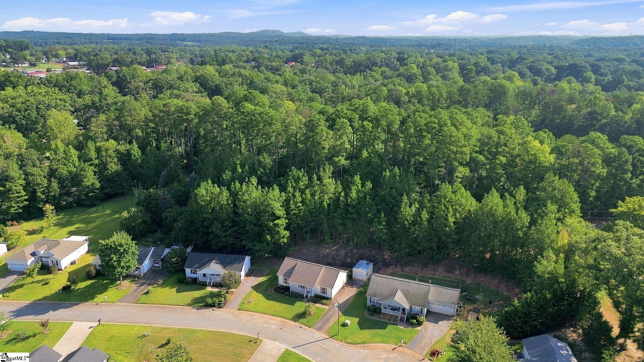 145 Brookwood Creek Drive Property Photo 3