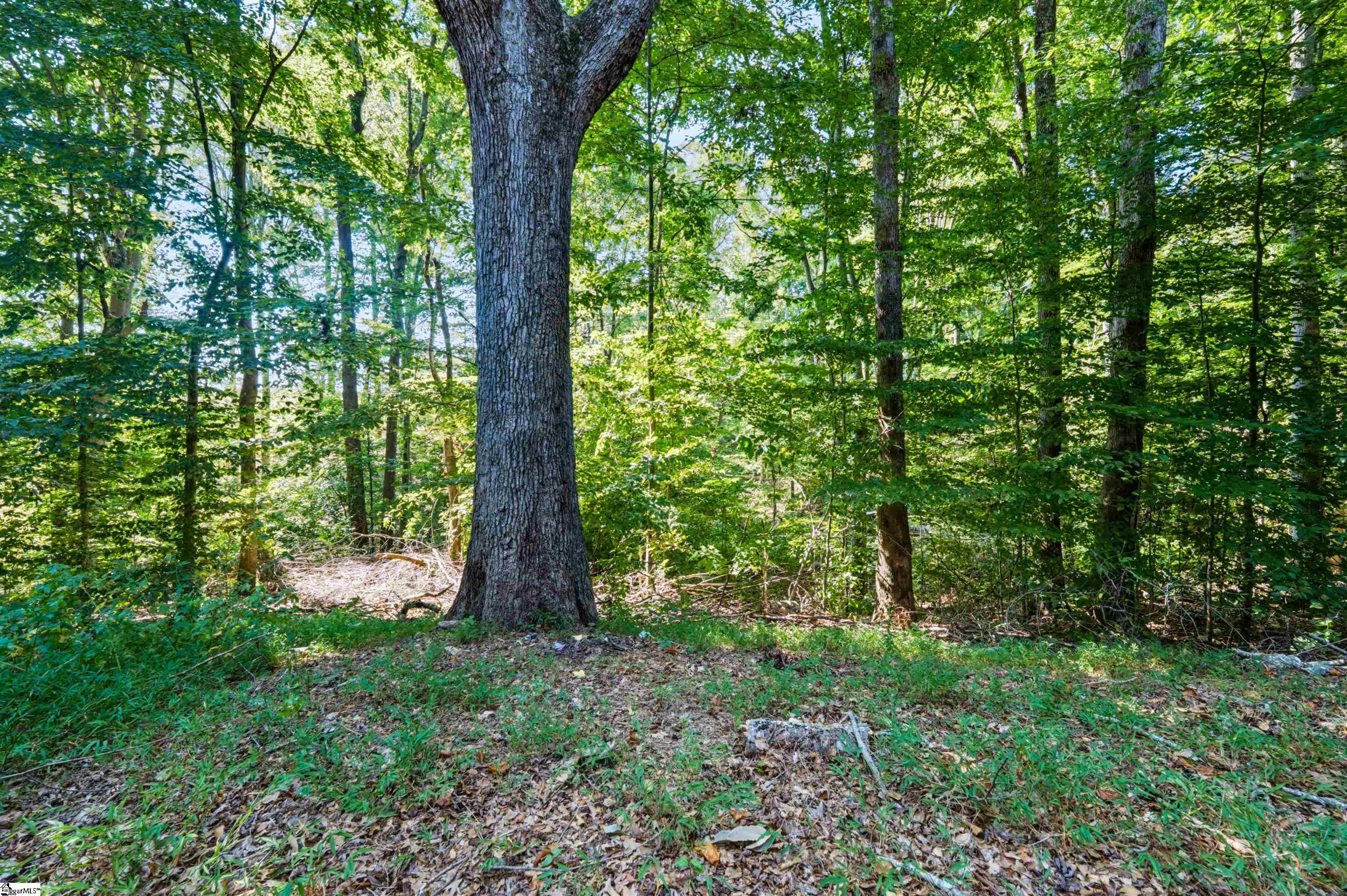 145 Pink Robinson Road Property Photo 24