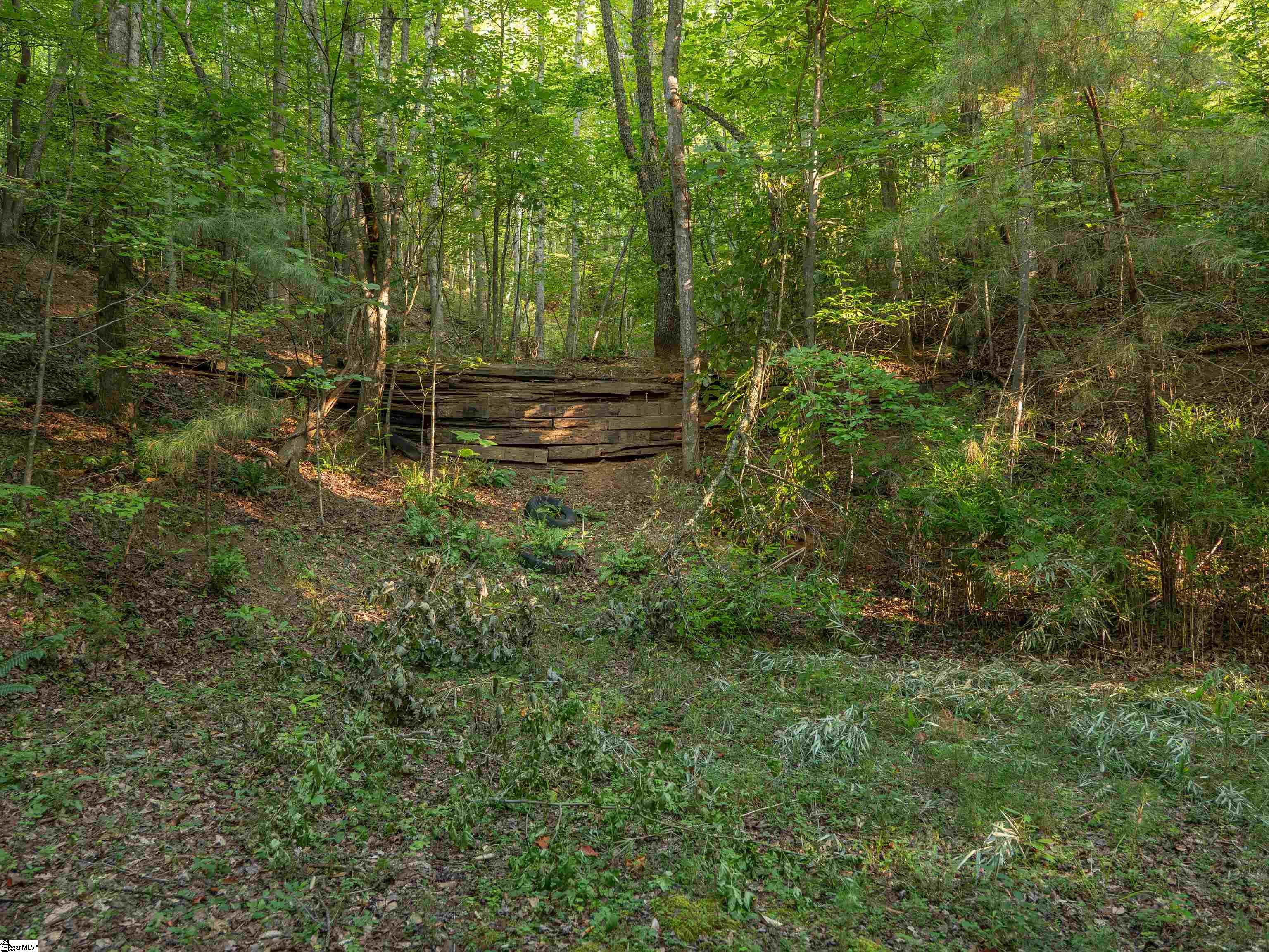 00 Anthony Road Property Photo 15