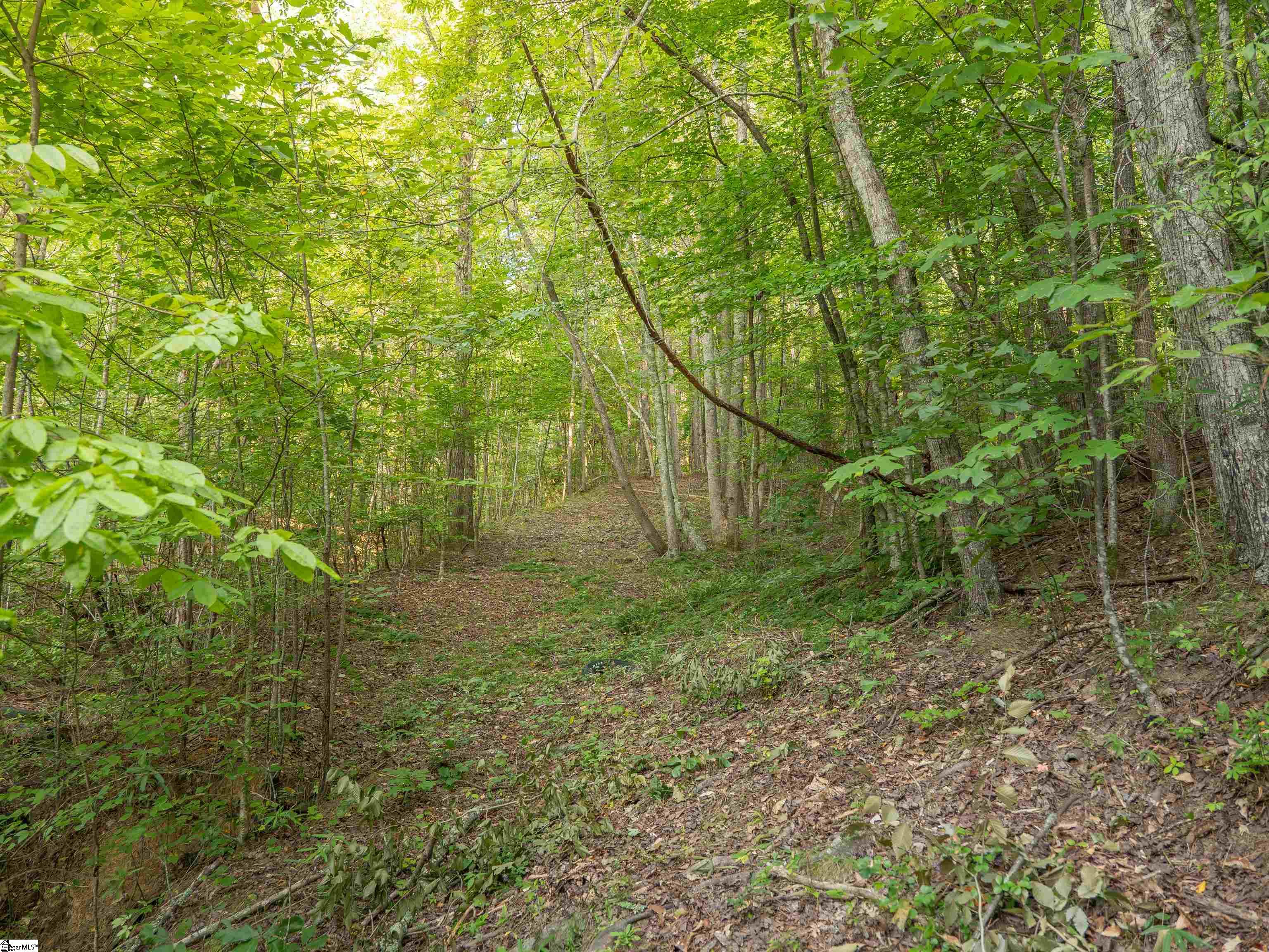 00 Anthony Road Property Photo 17