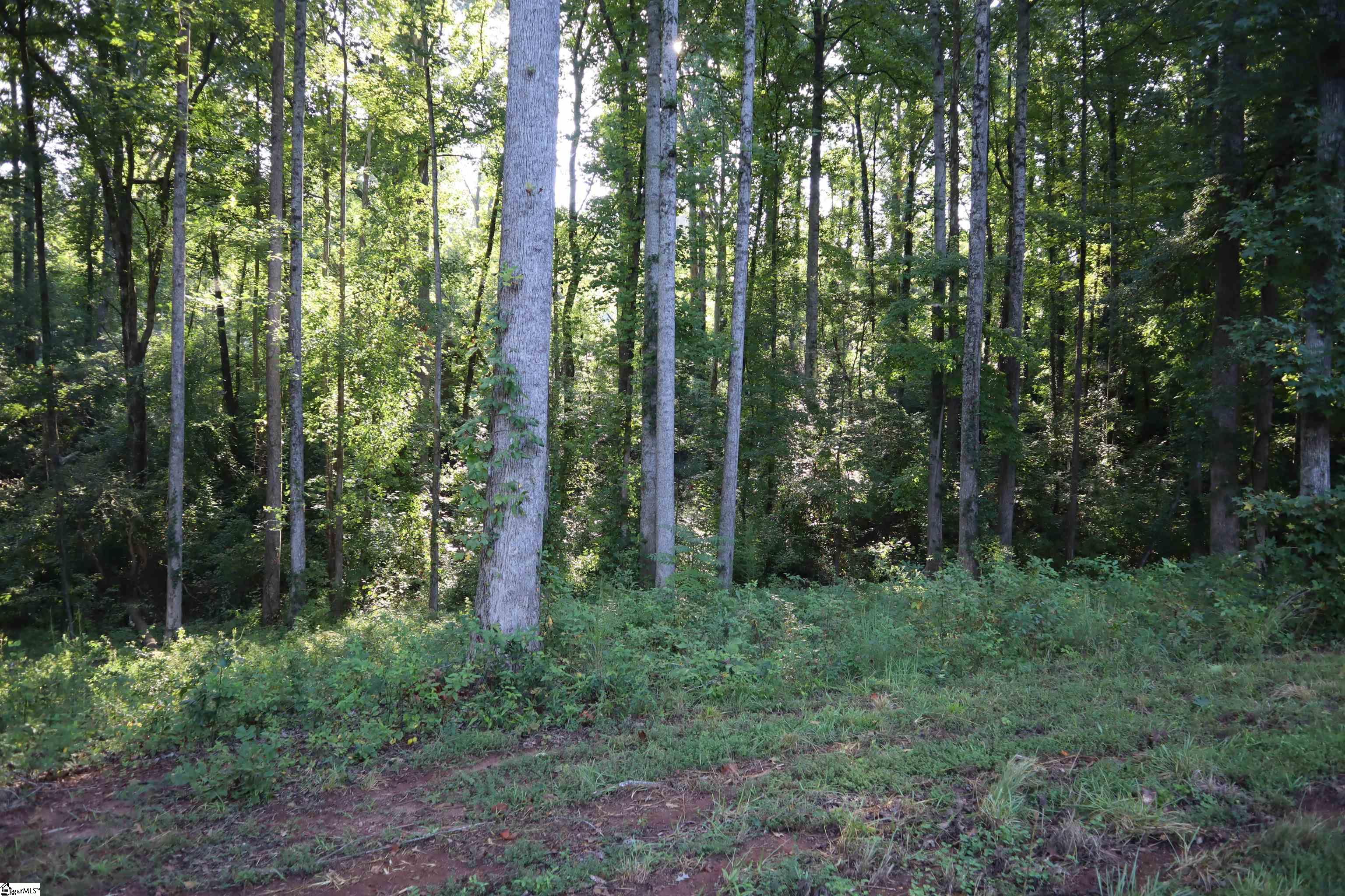 136 Amber Drive Property Photo 18