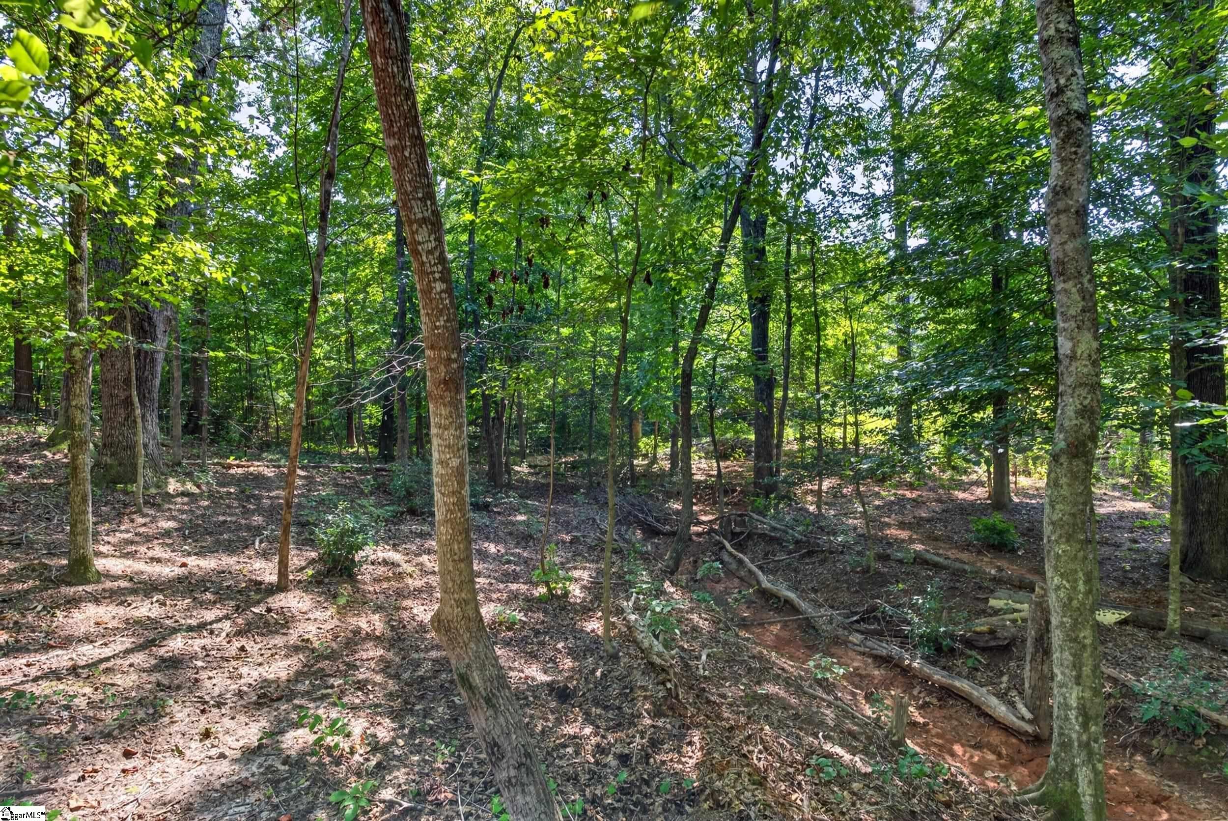 316 Oak Grove Road Property Photo 29