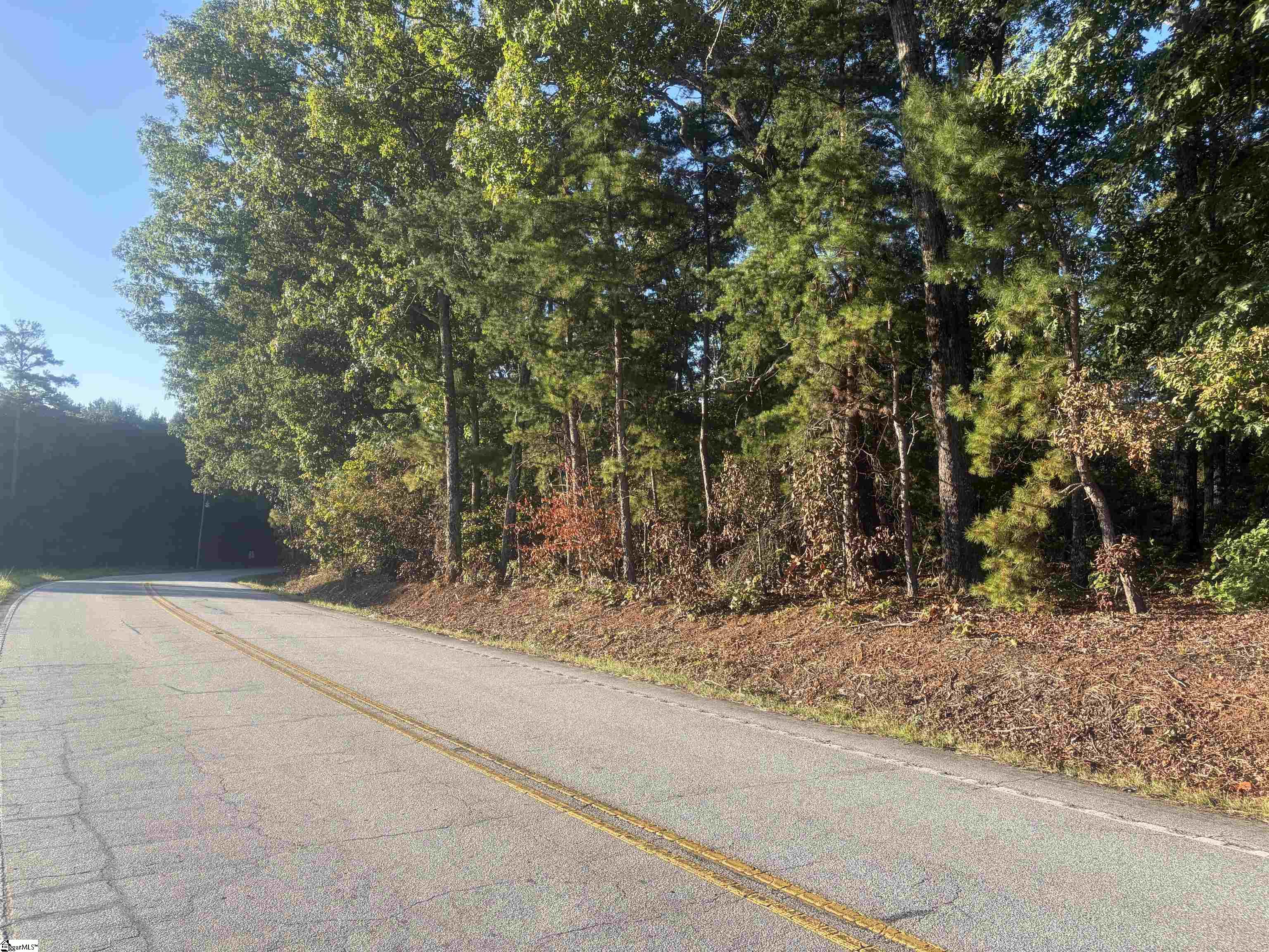 Level Land Road Property Photo 6
