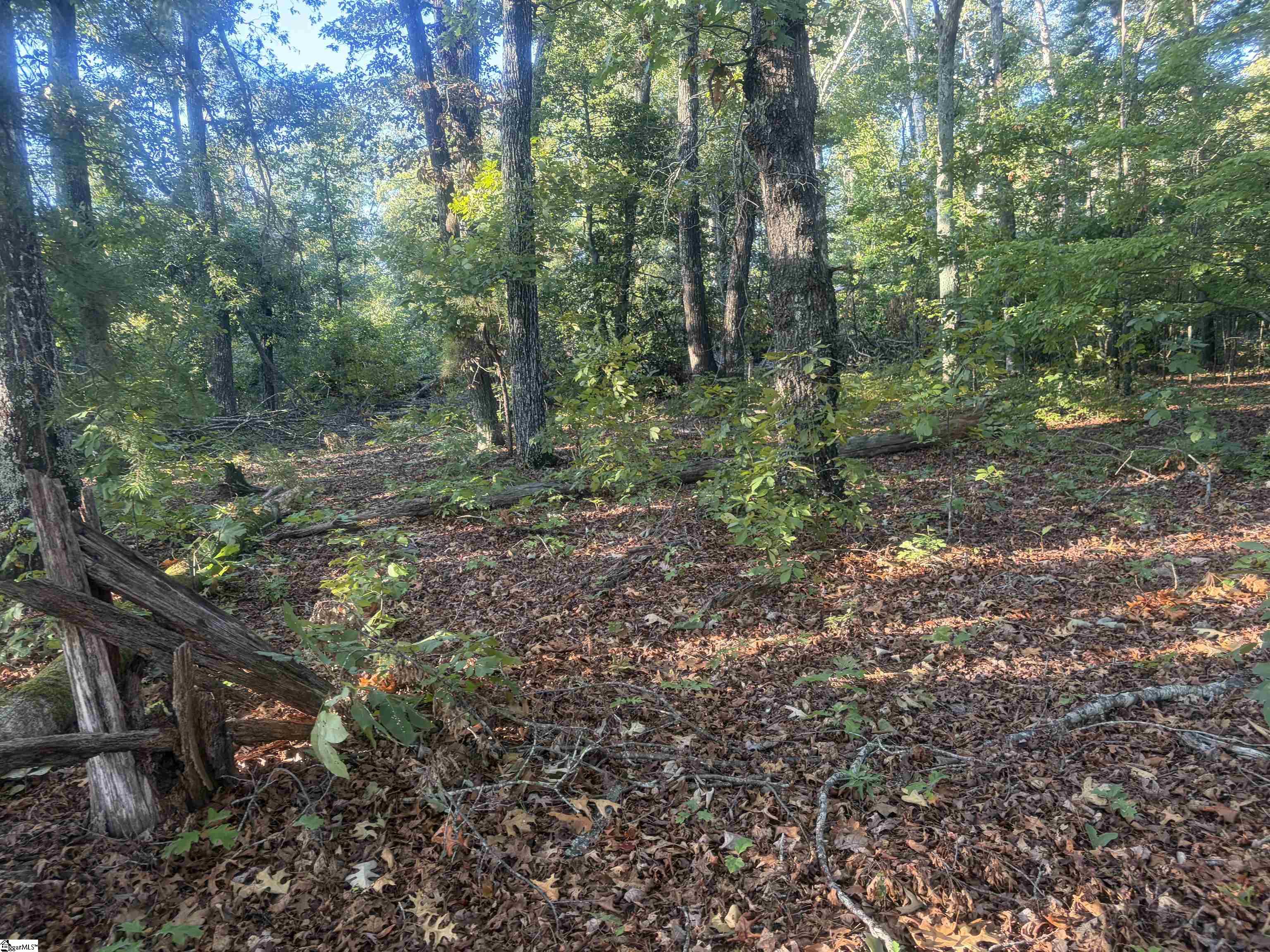 Level Land Road Property Photo 7
