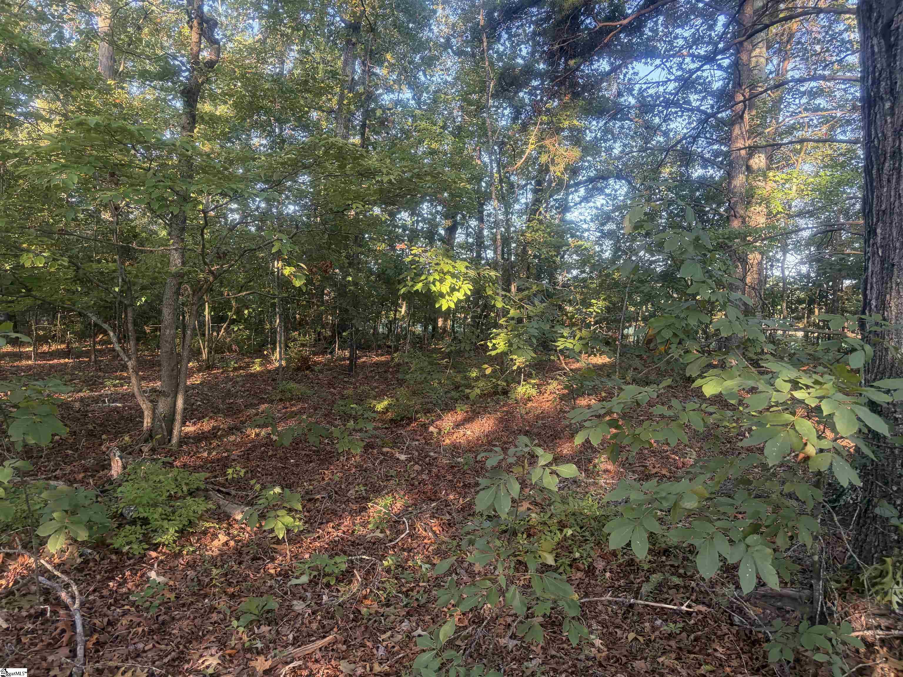Level Land Road Property Photo 8