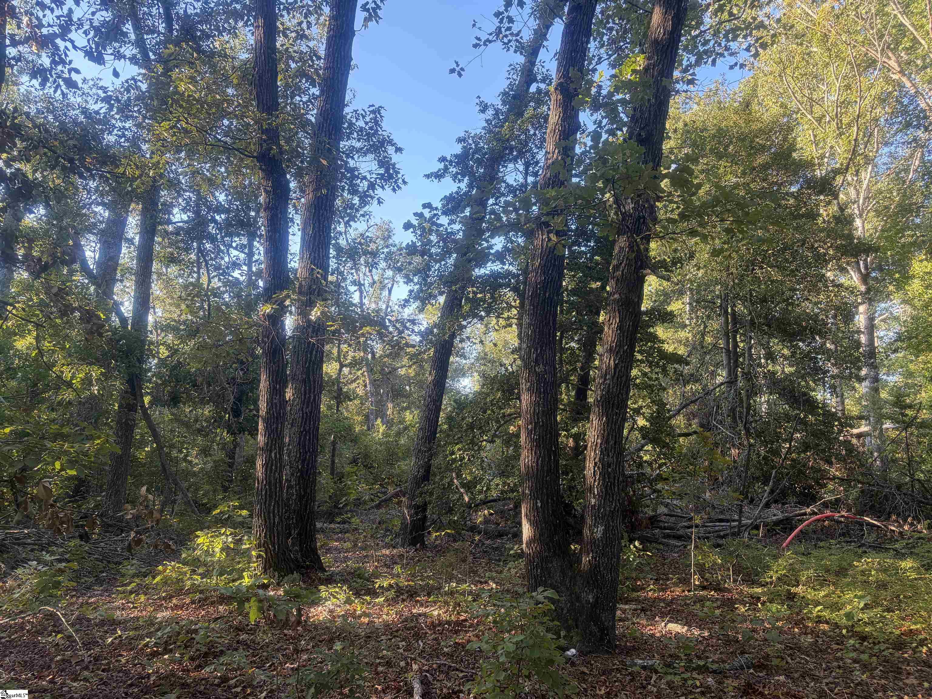 Level Land Road Property Photo 9