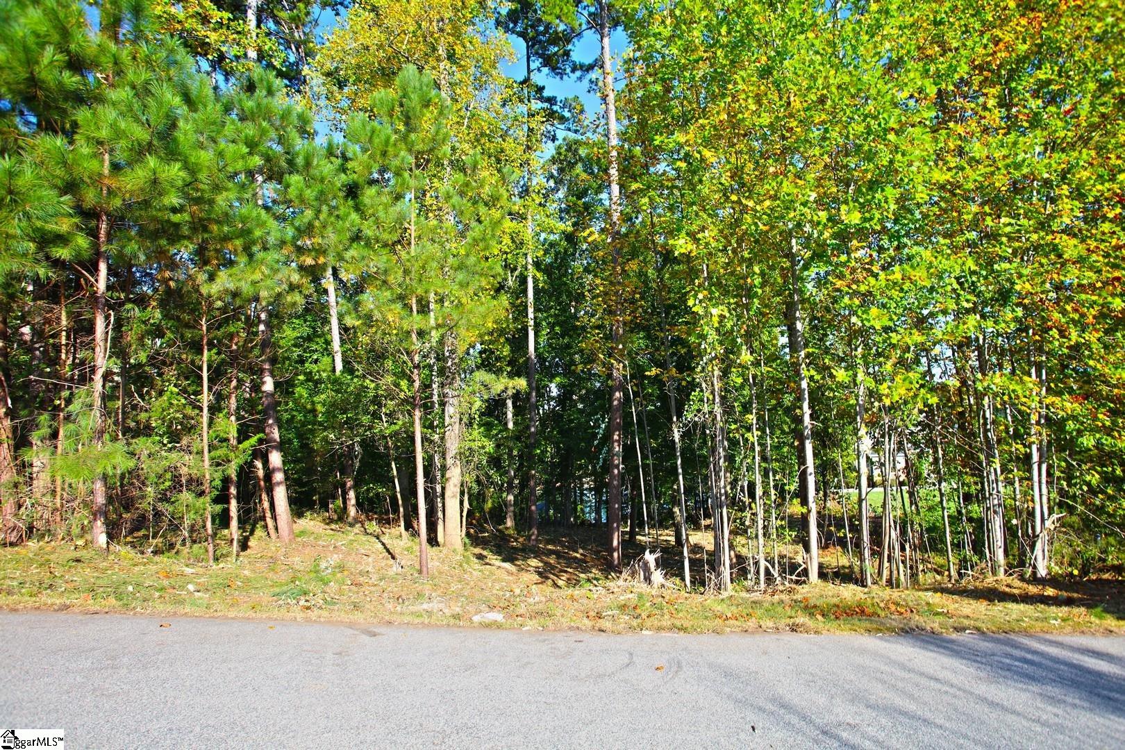 807 Barefoot Cove Drive Property Photo 13