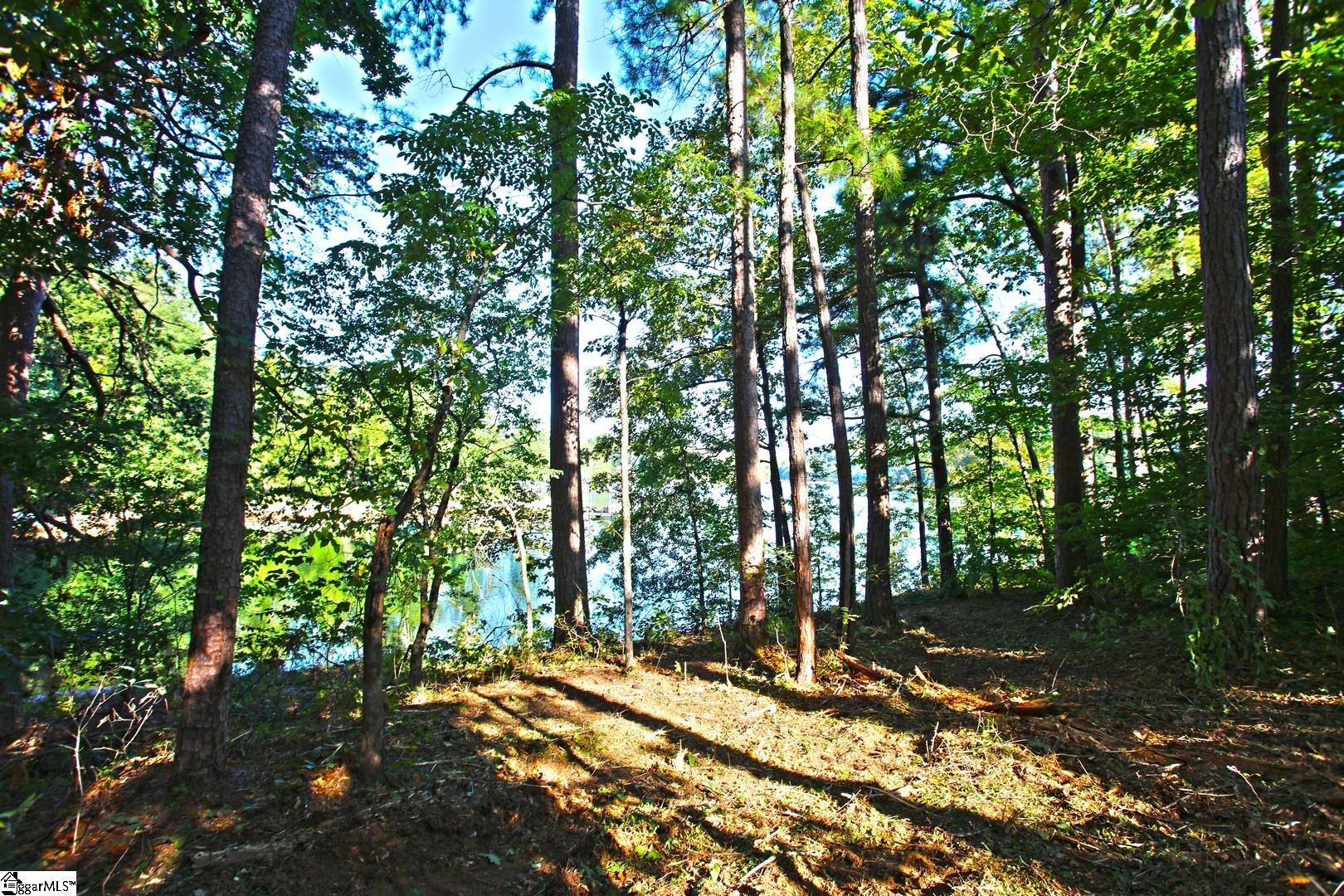807 Barefoot Cove Drive Property Photo 21