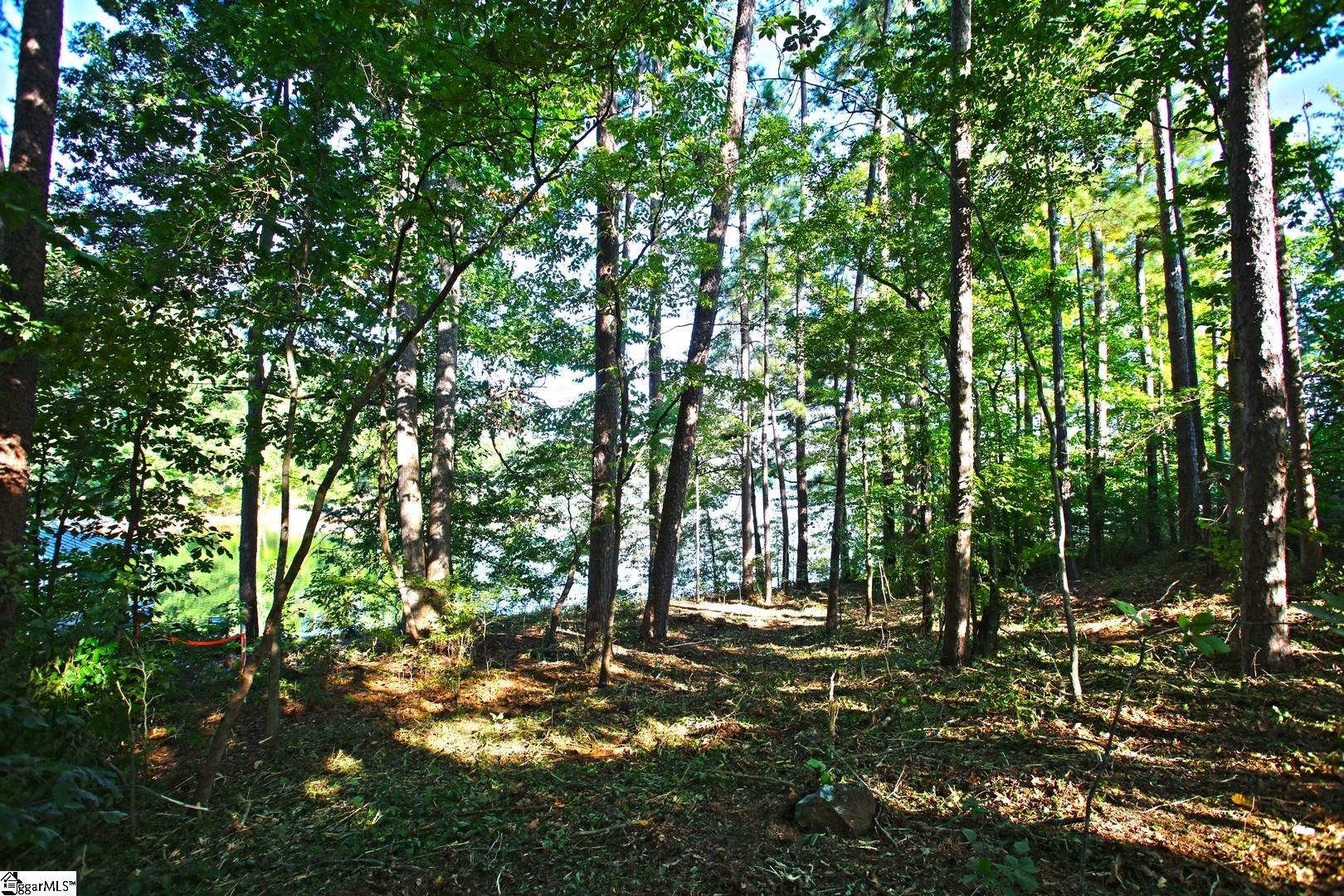 807 Barefoot Cove Drive Property Photo 22