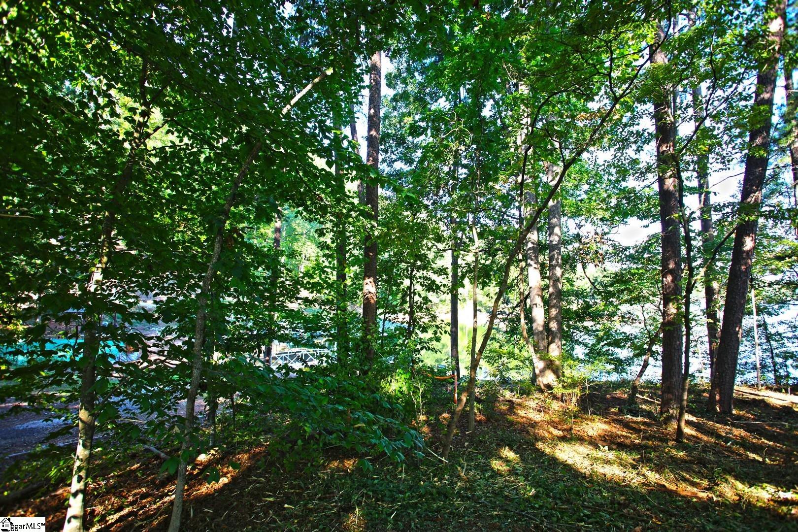 807 Barefoot Cove Drive Property Photo 23
