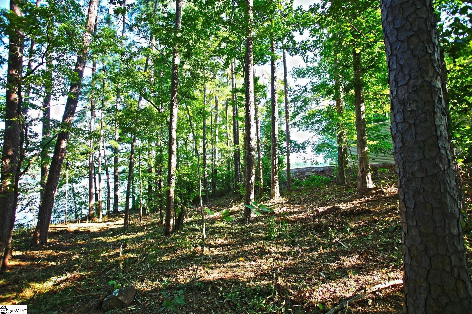 807 Barefoot Cove Drive Property Photo 24
