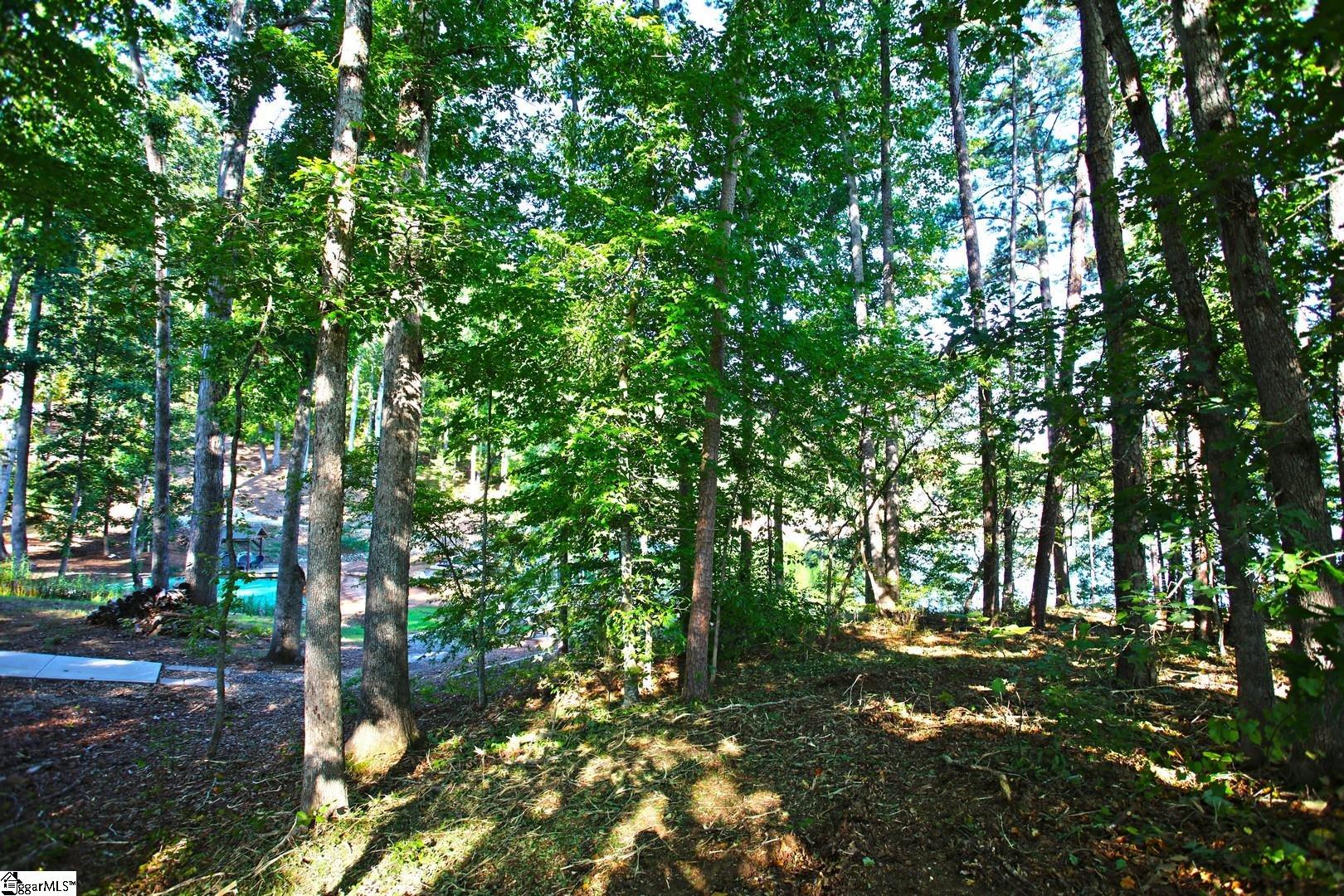 807 Barefoot Cove Drive Property Photo 27