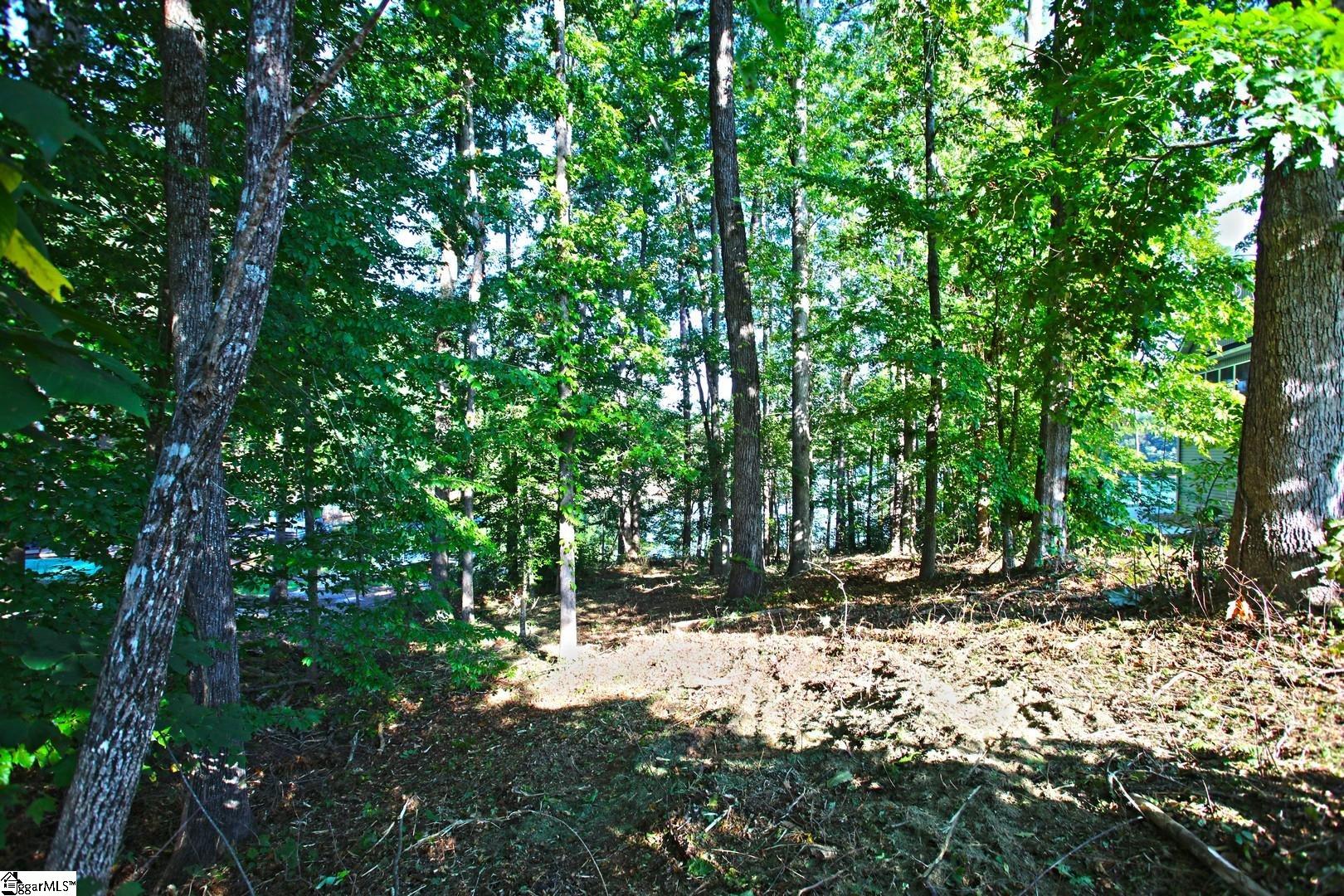 807 Barefoot Cove Drive Property Photo 28