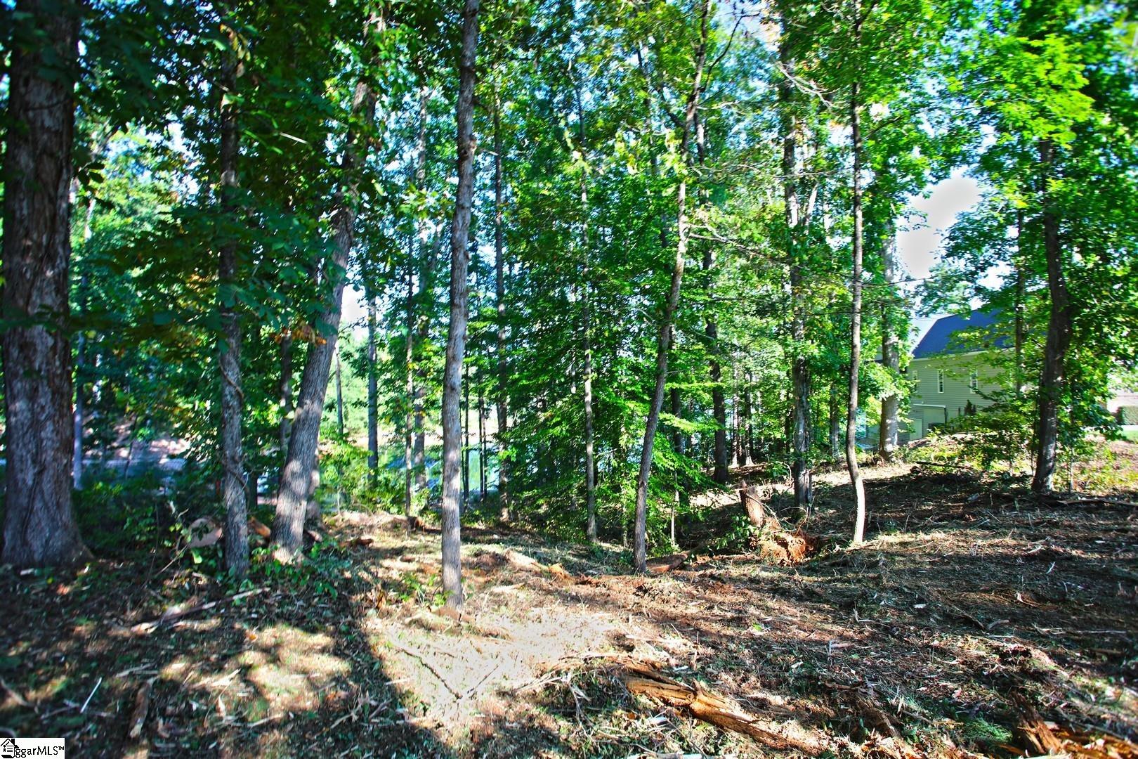 807 Barefoot Cove Drive Property Photo 29