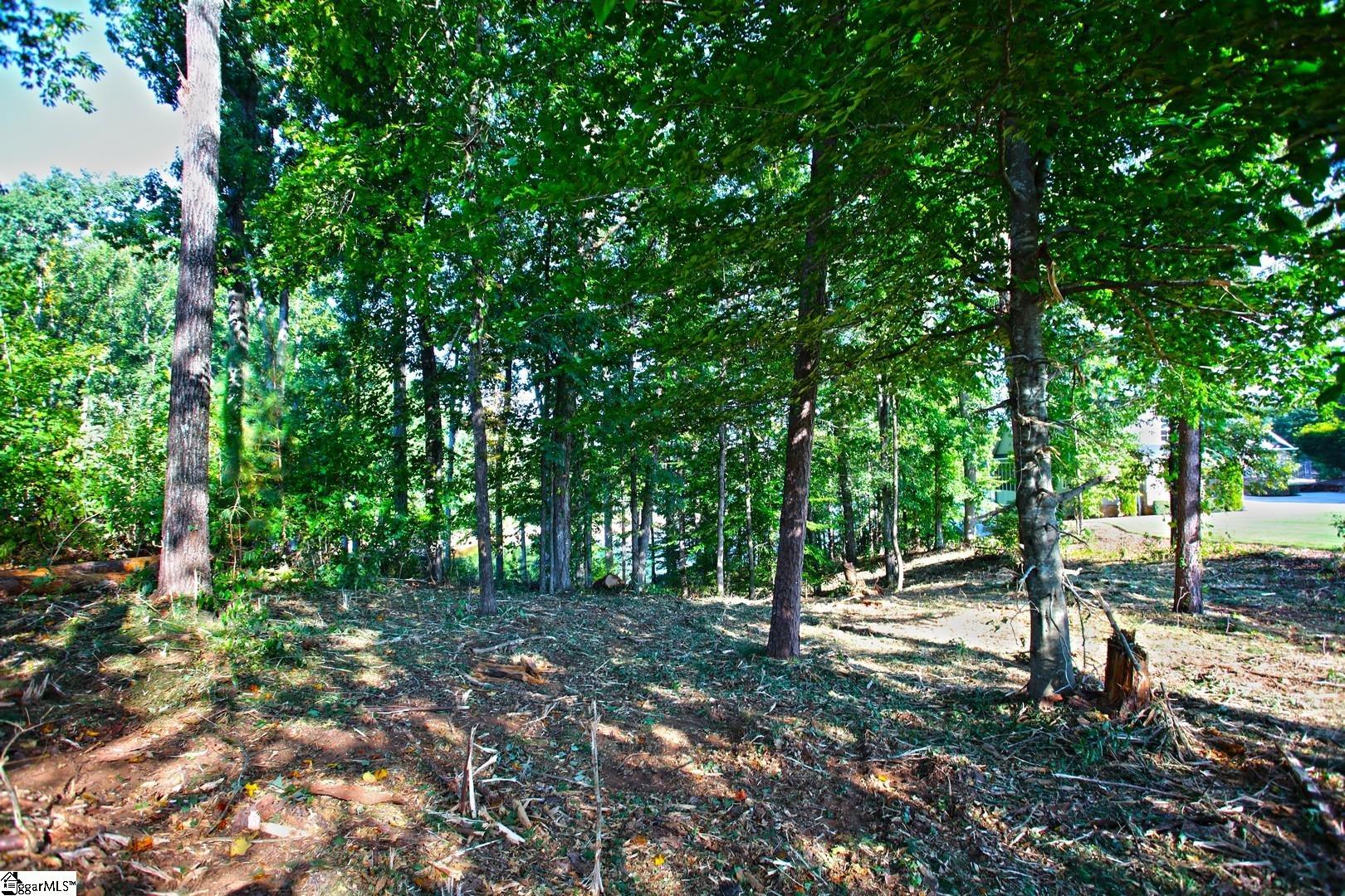 807 Barefoot Cove Drive Property Photo 32