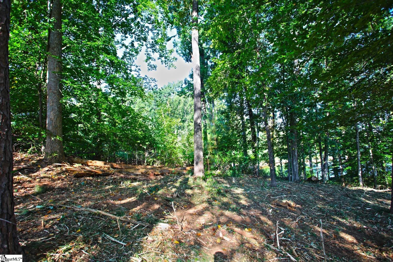 807 Barefoot Cove Drive Property Photo 34