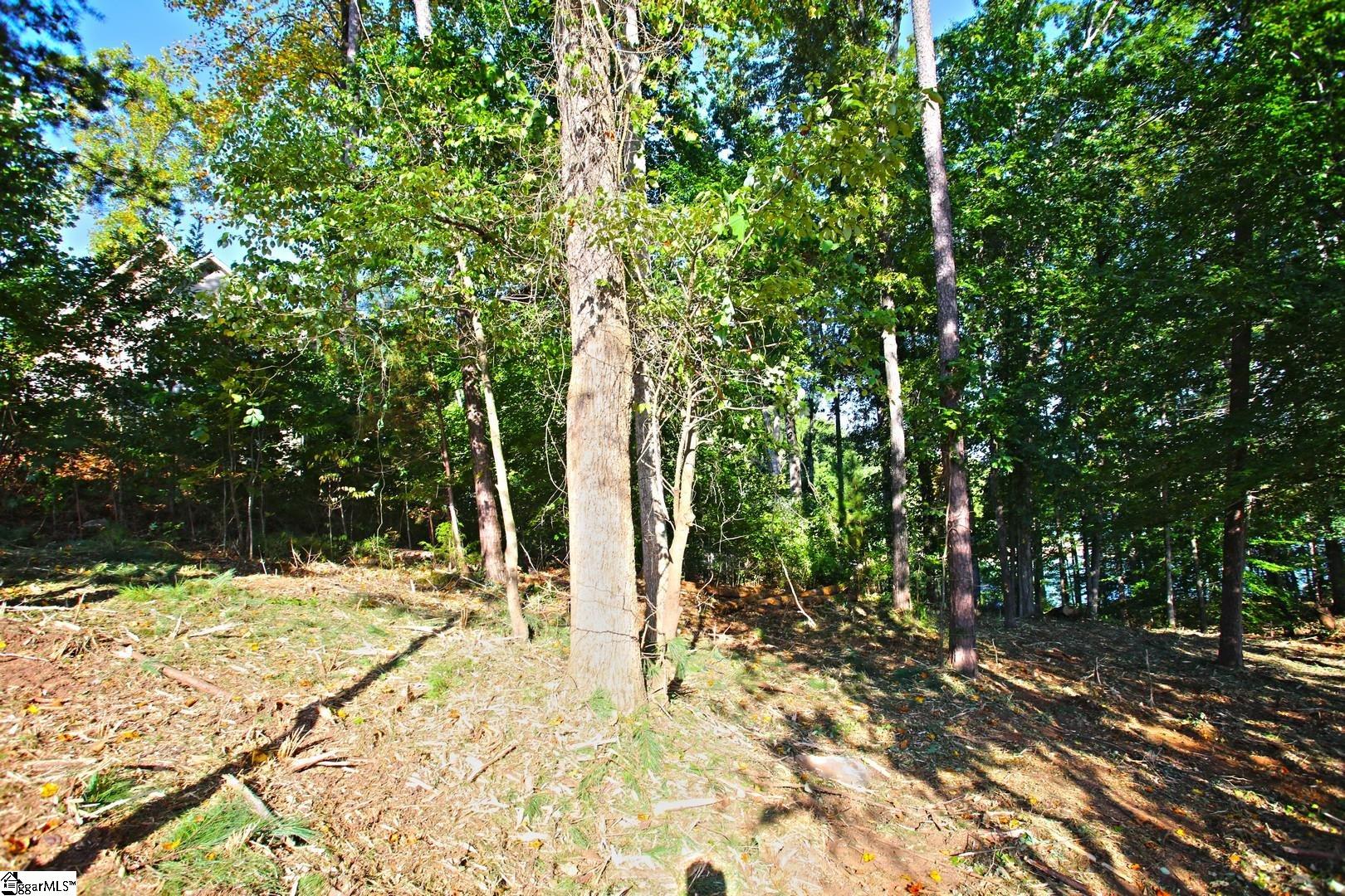 807 Barefoot Cove Drive Property Photo 36