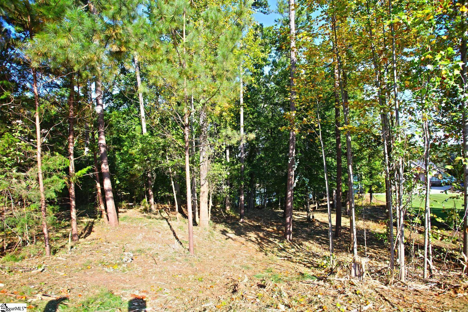 807 Barefoot Cove Drive Property Photo 38
