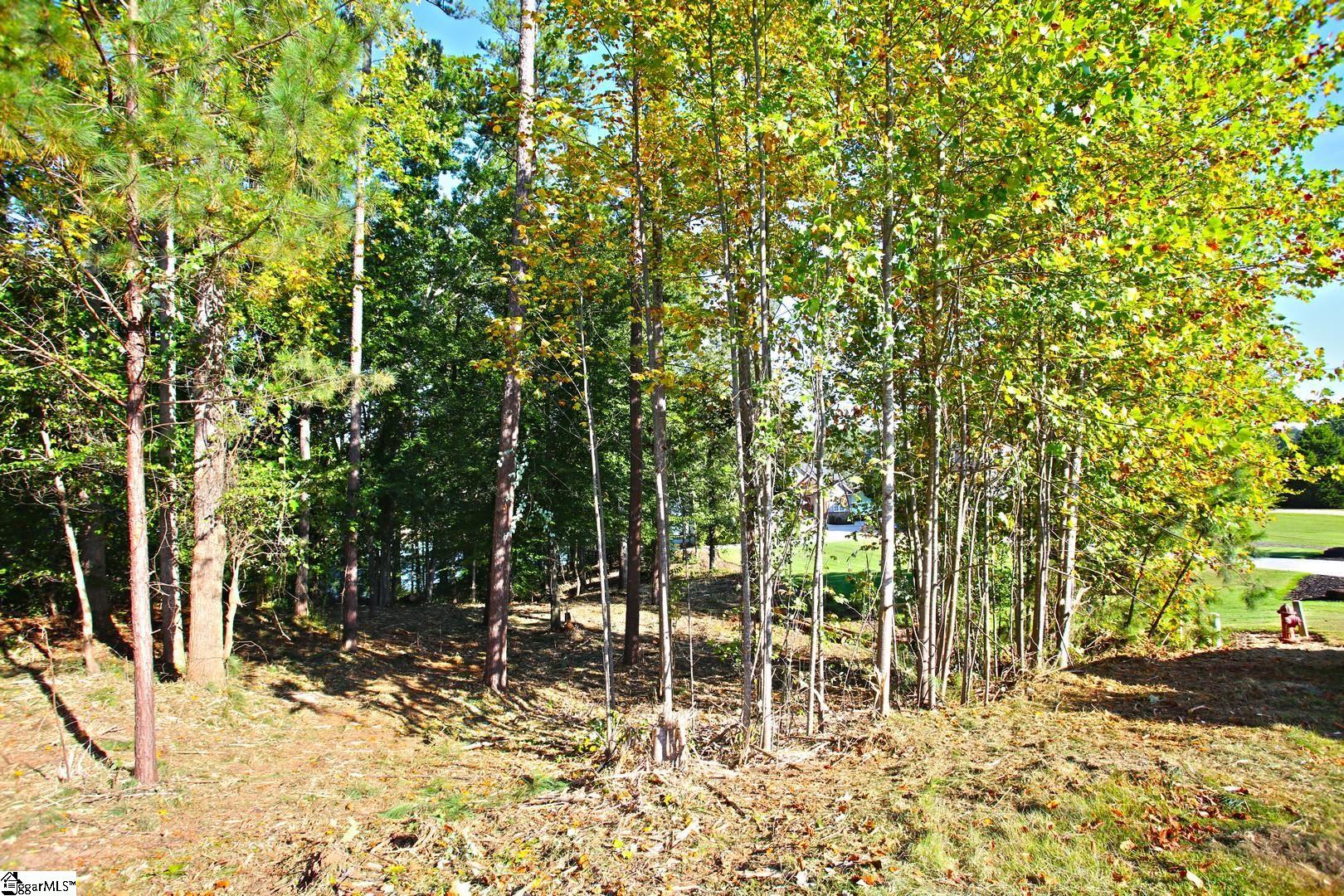 807 Barefoot Cove Drive Property Photo 39