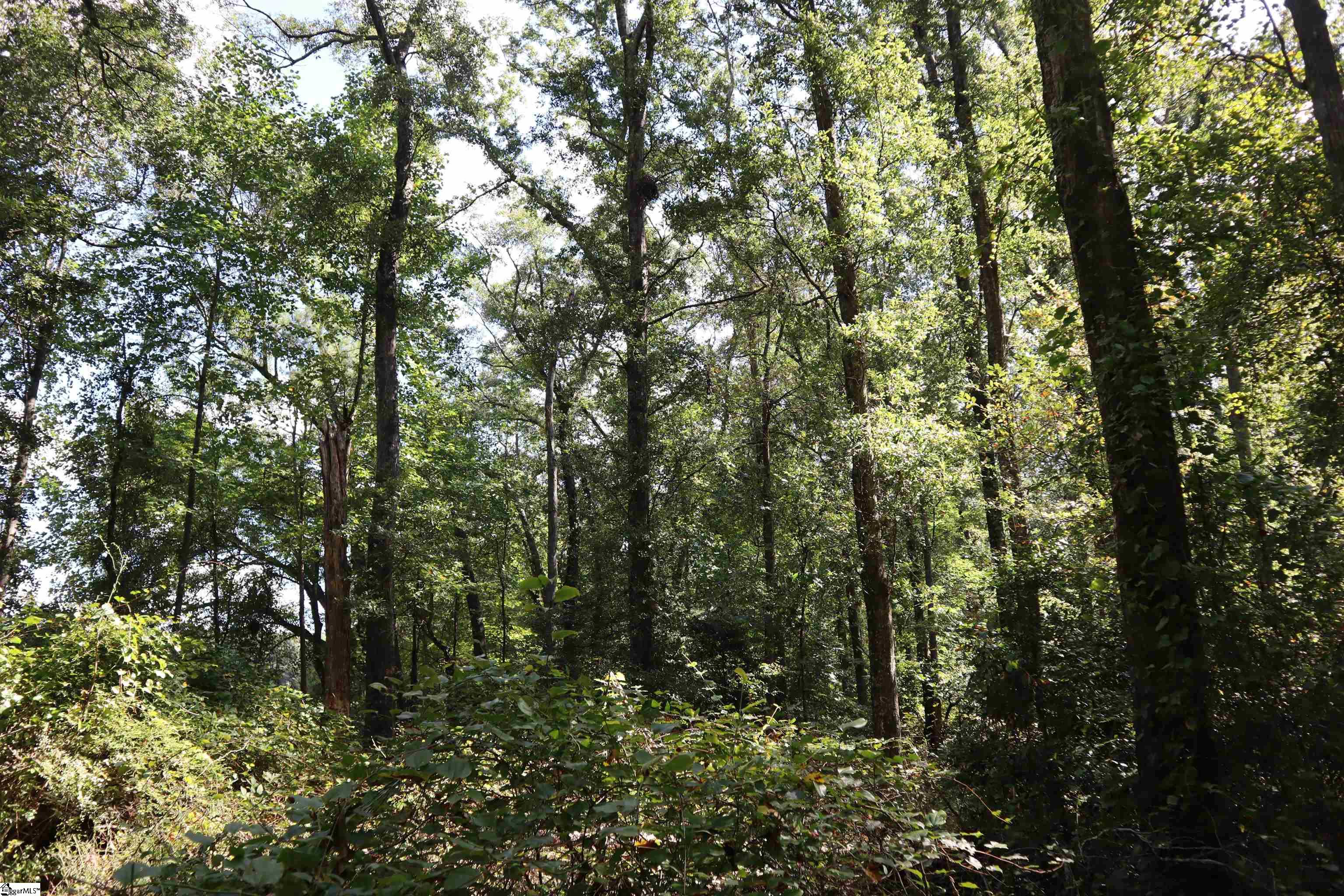 00 Philwood Drive Property Photo 25