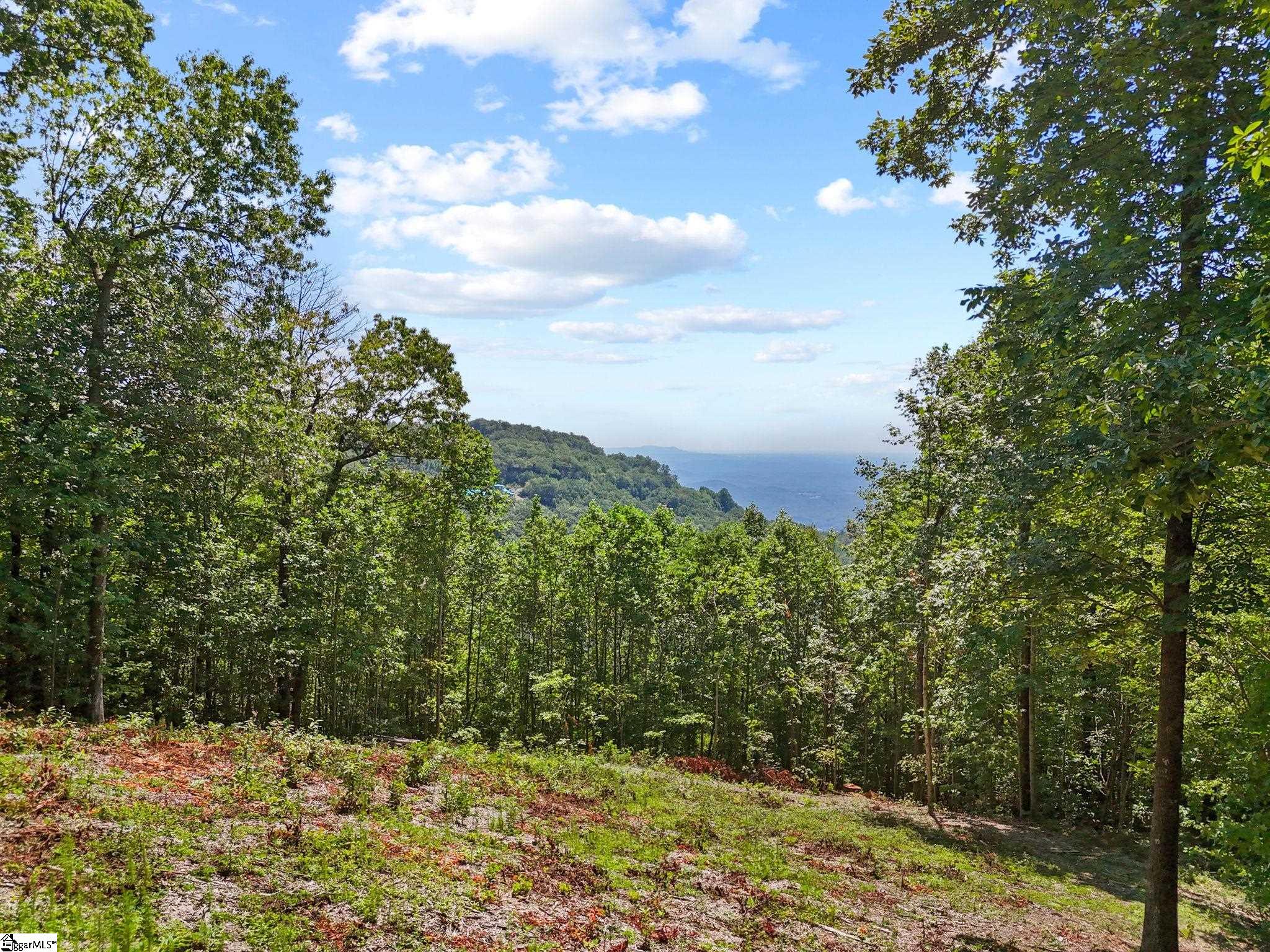 1394 Mountain Summit Road Property Photo 2