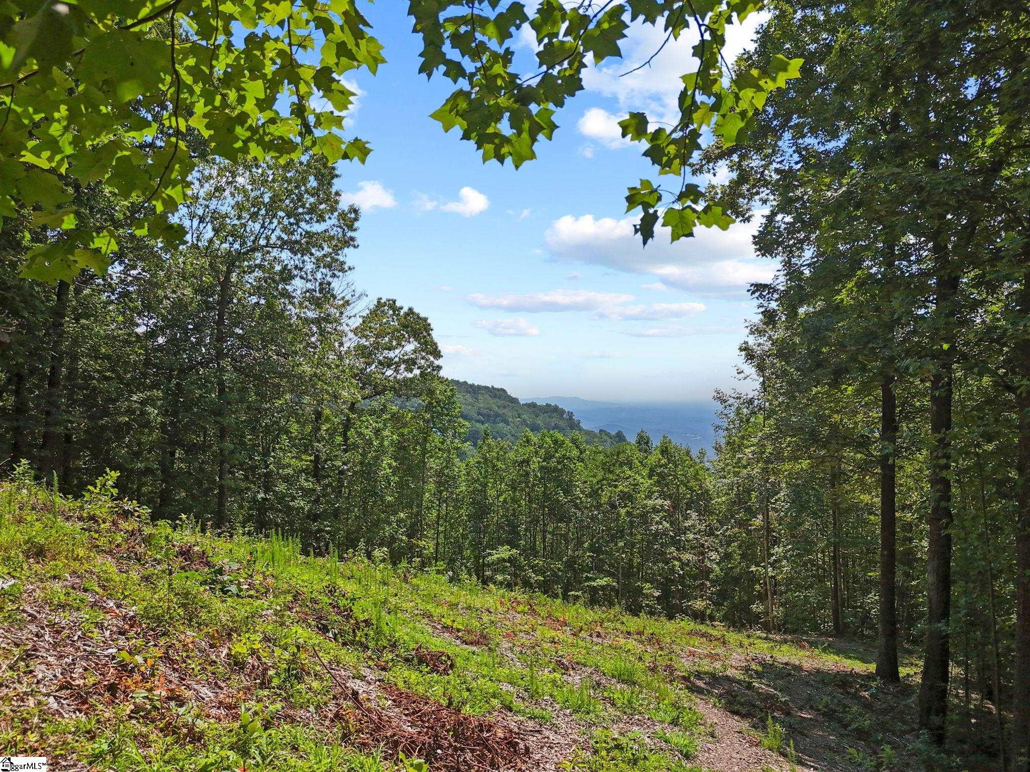 1394 Mountain Summit Road Property Photo 10