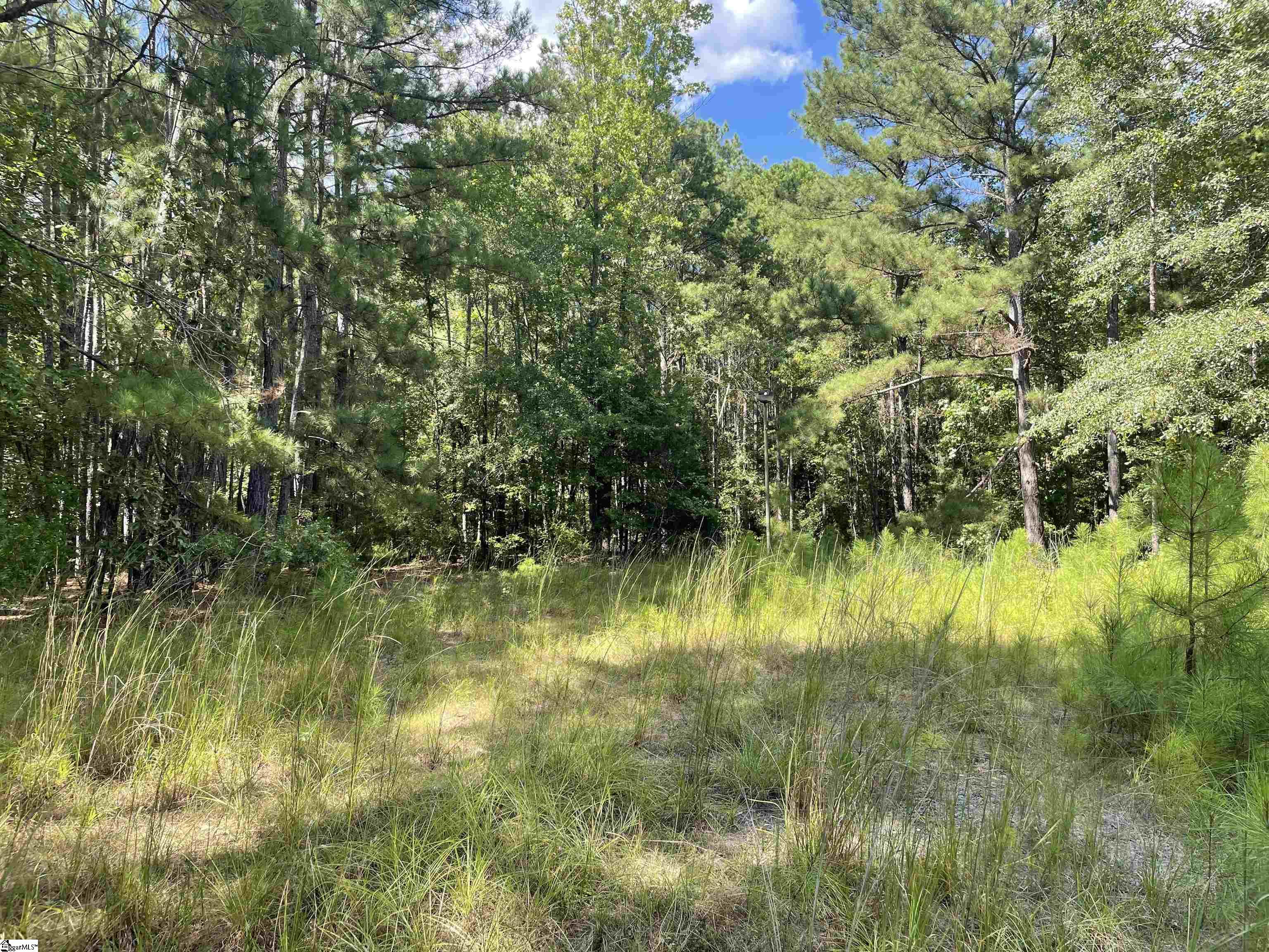 00 Riverfork Road Property Photo 16