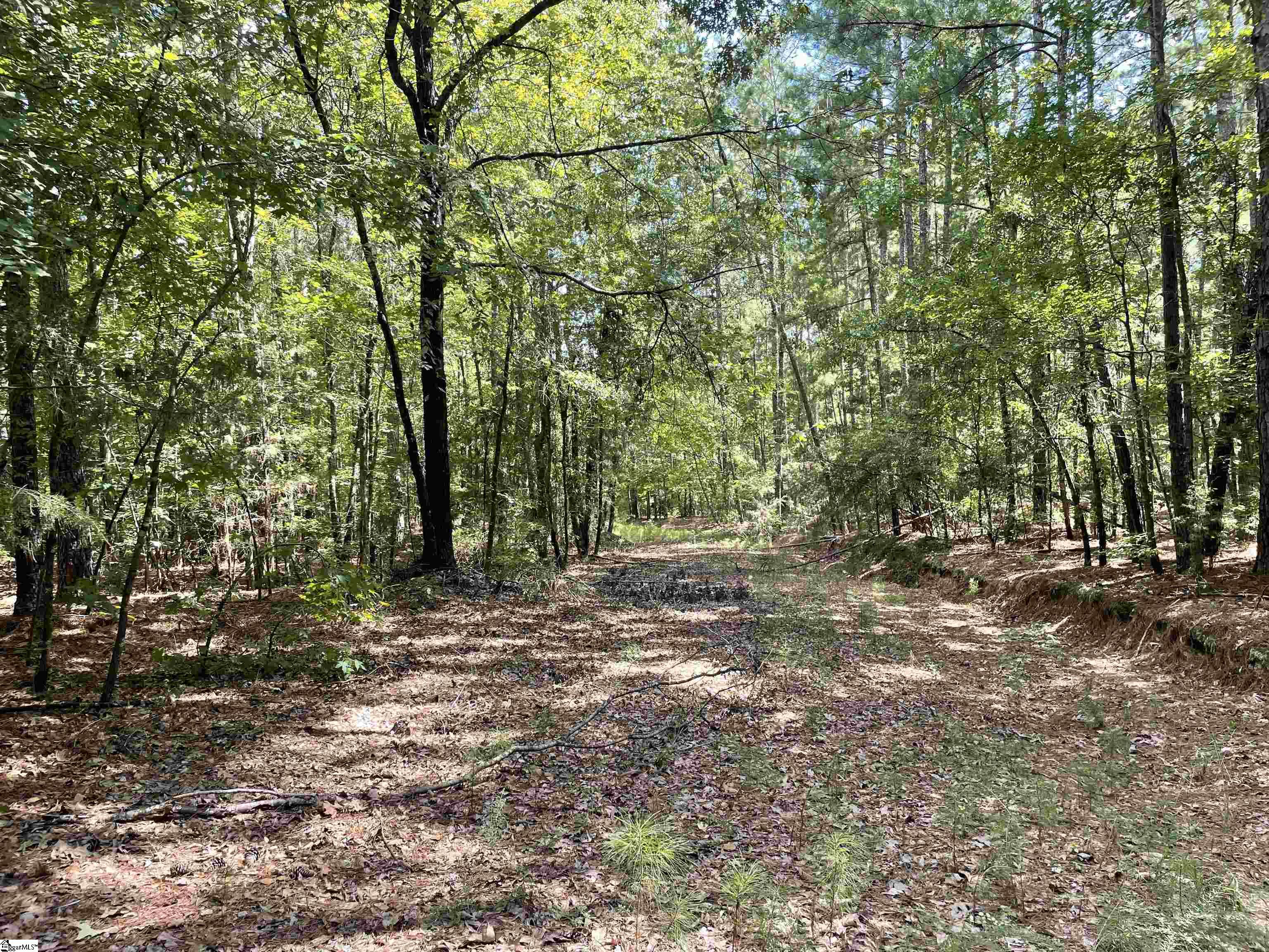 00 Riverfork Road Property Photo 17