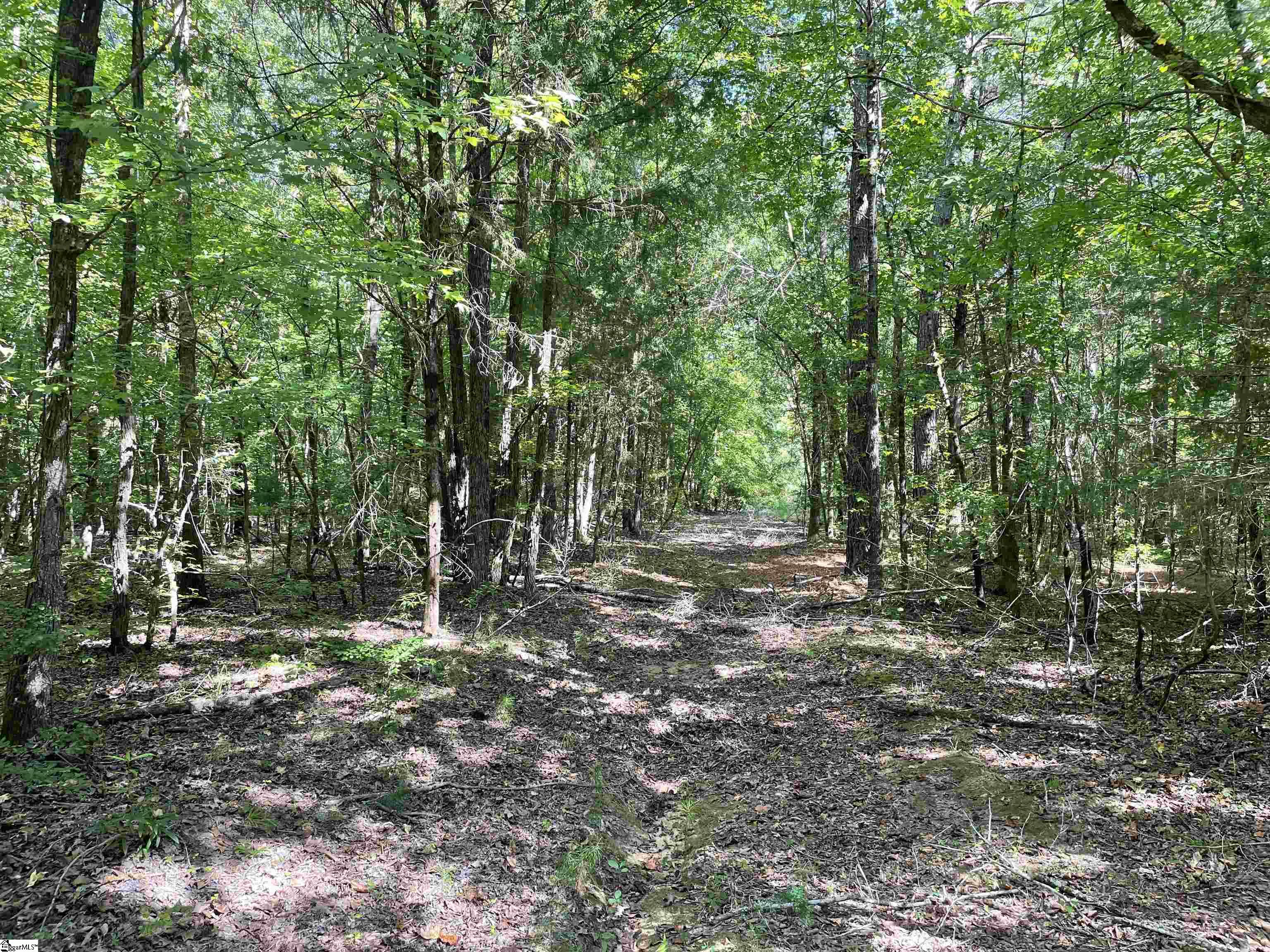 00 Riverfork Road Property Photo 19