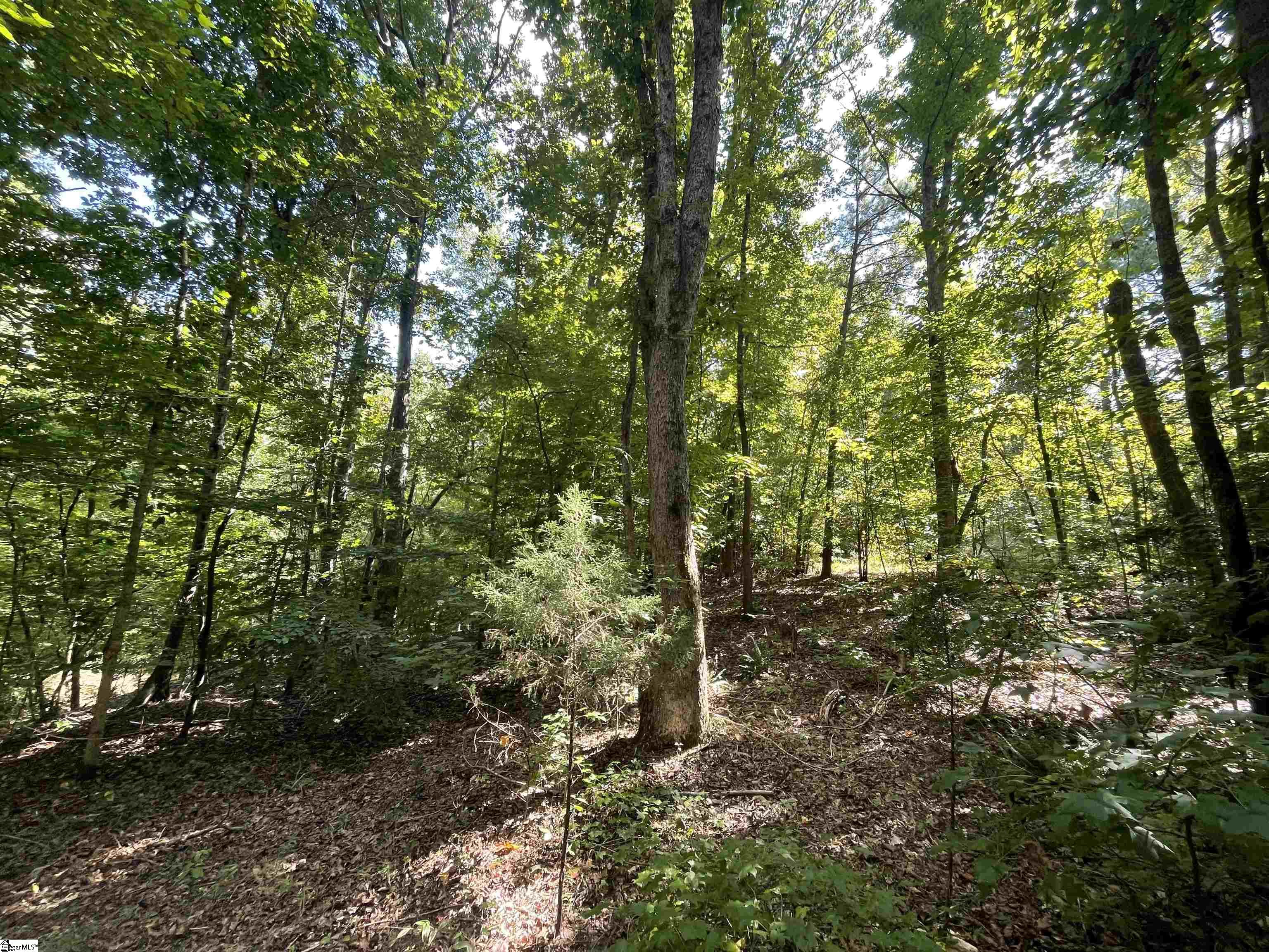 00 Riverfork Road Property Photo 21