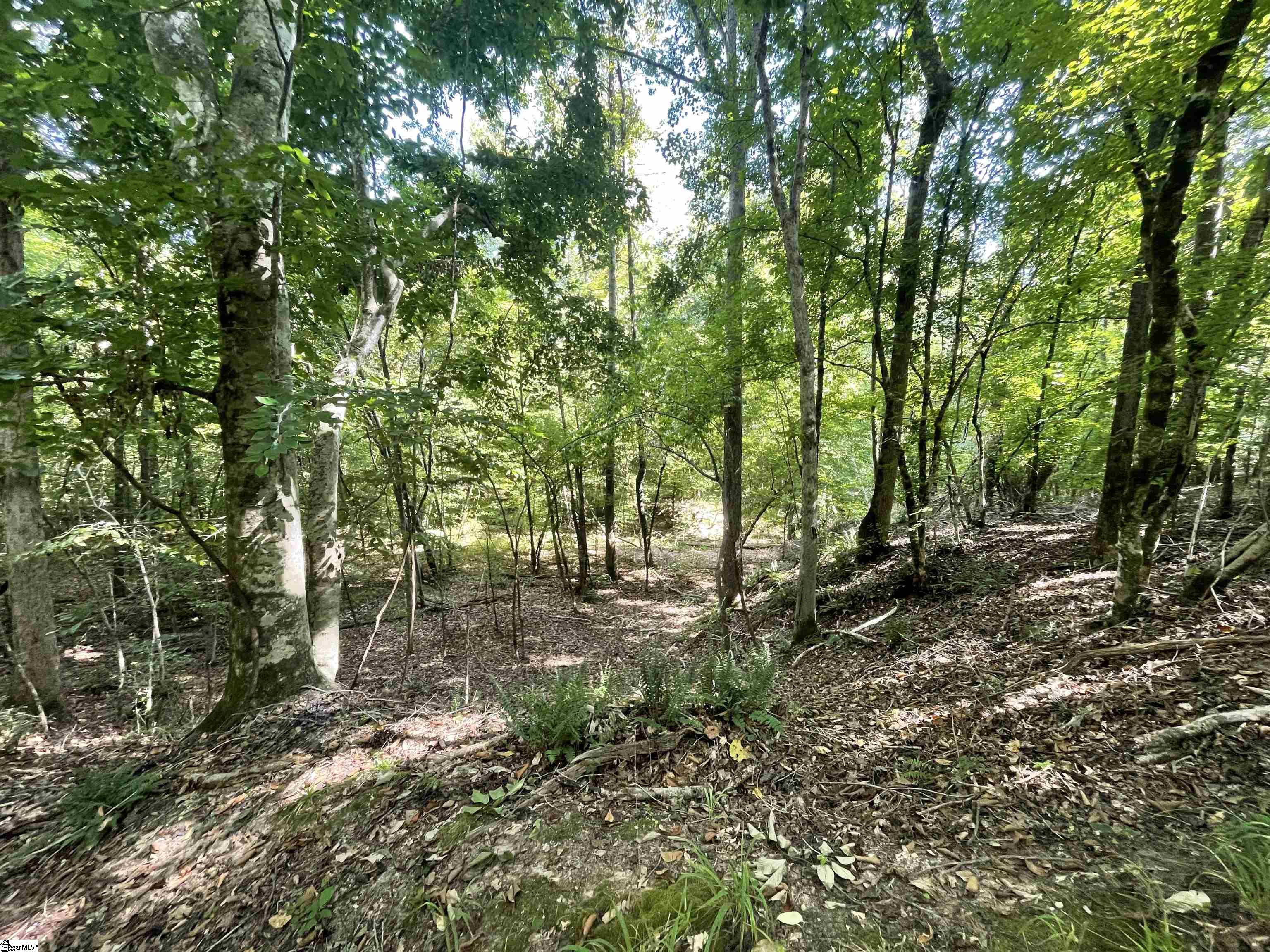 00 Riverfork Road Property Photo 22
