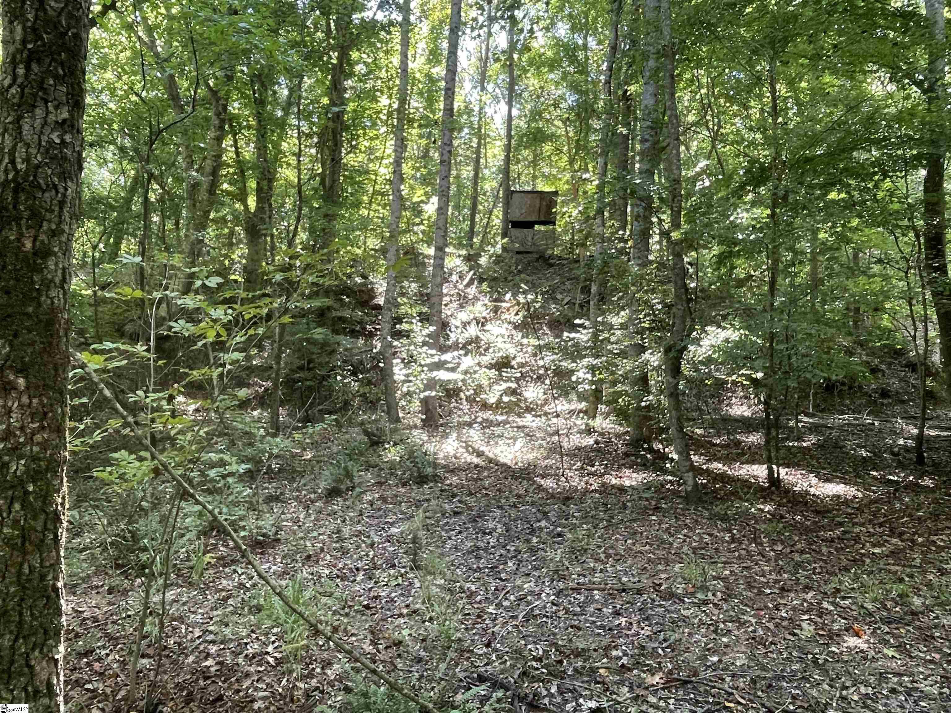 00 Riverfork Road Property Photo 25