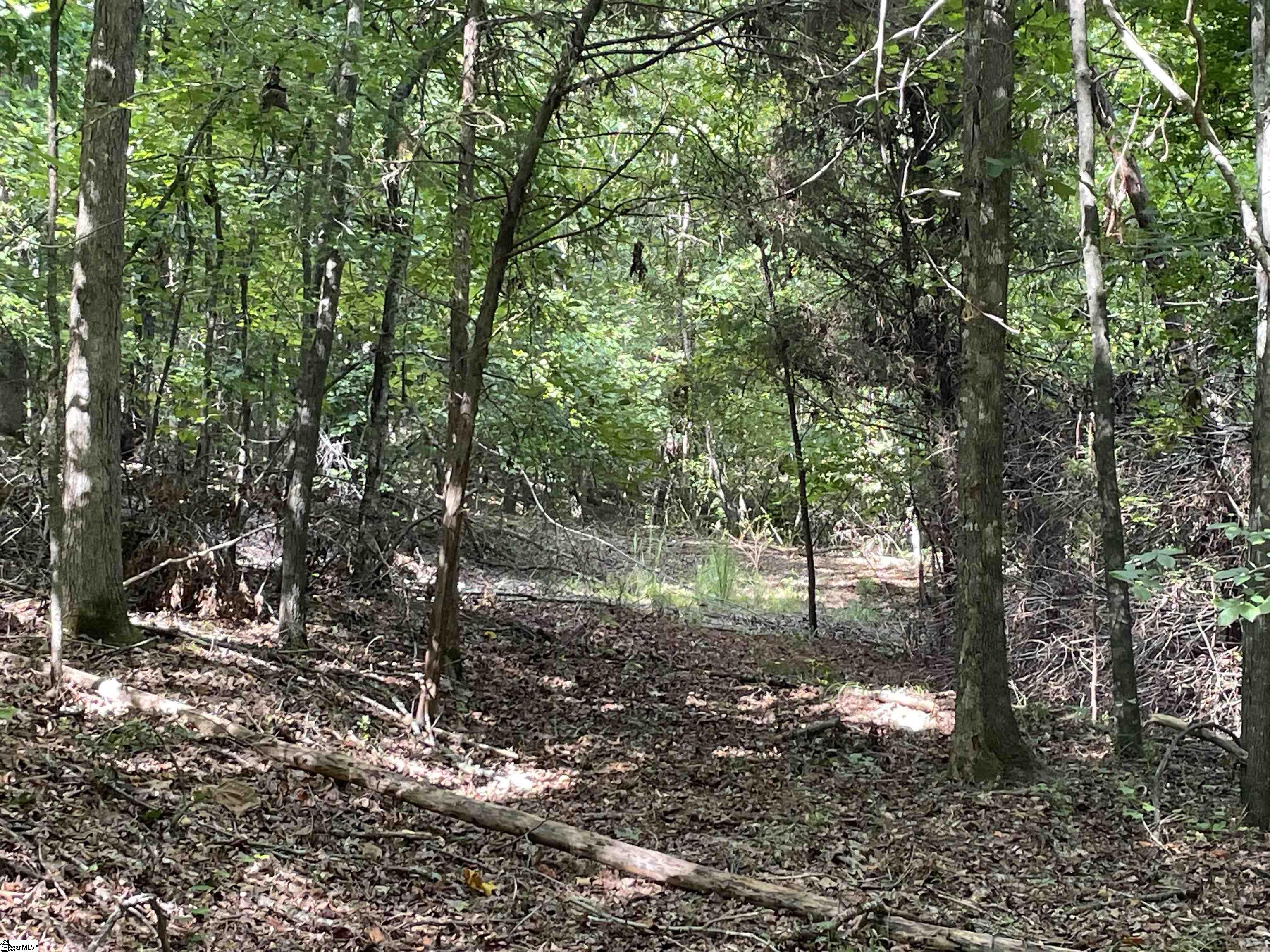 00 Riverfork Road Property Photo 30