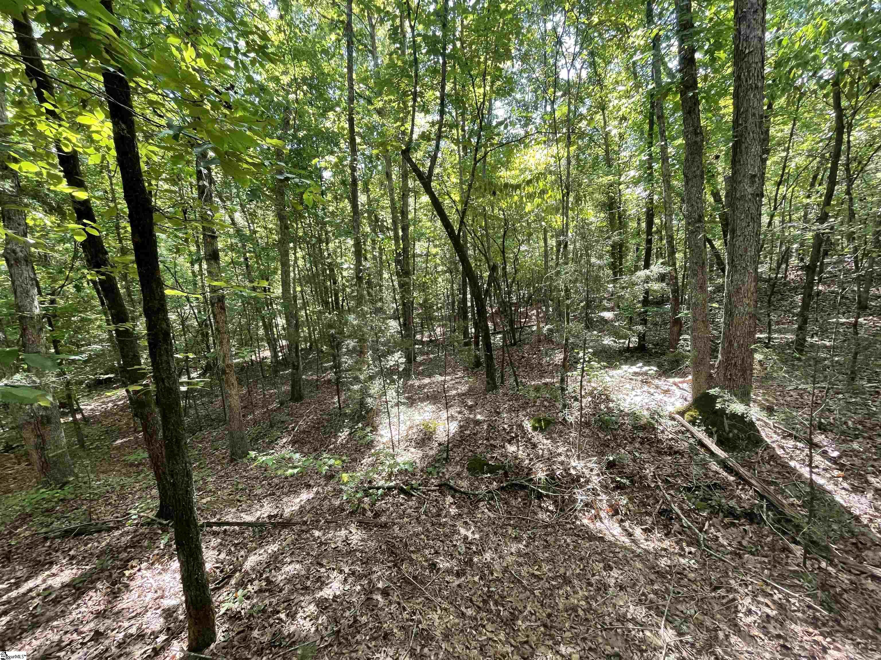 00 Riverfork Road Property Photo 31