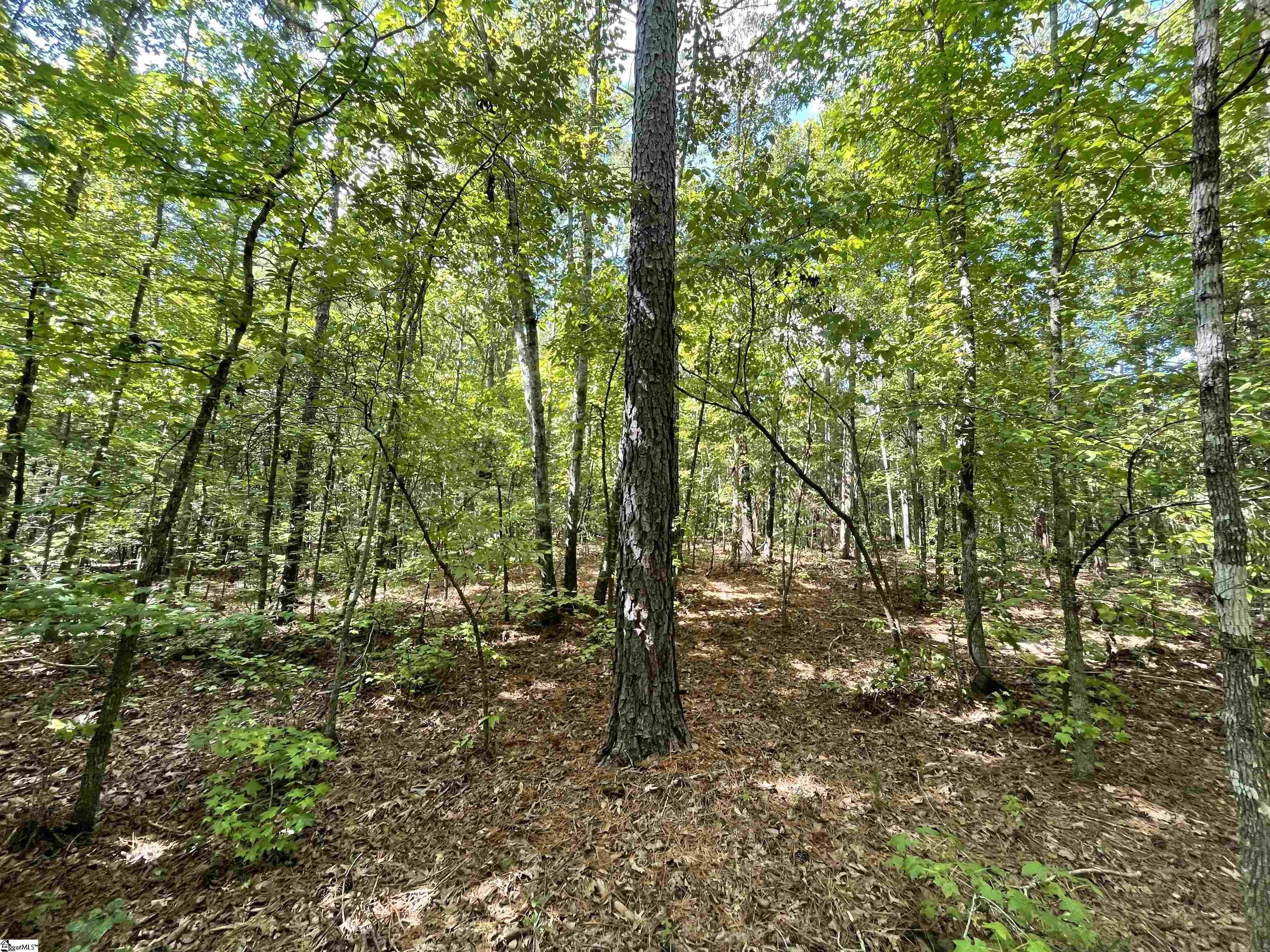 00 Riverfork Road Property Photo 32
