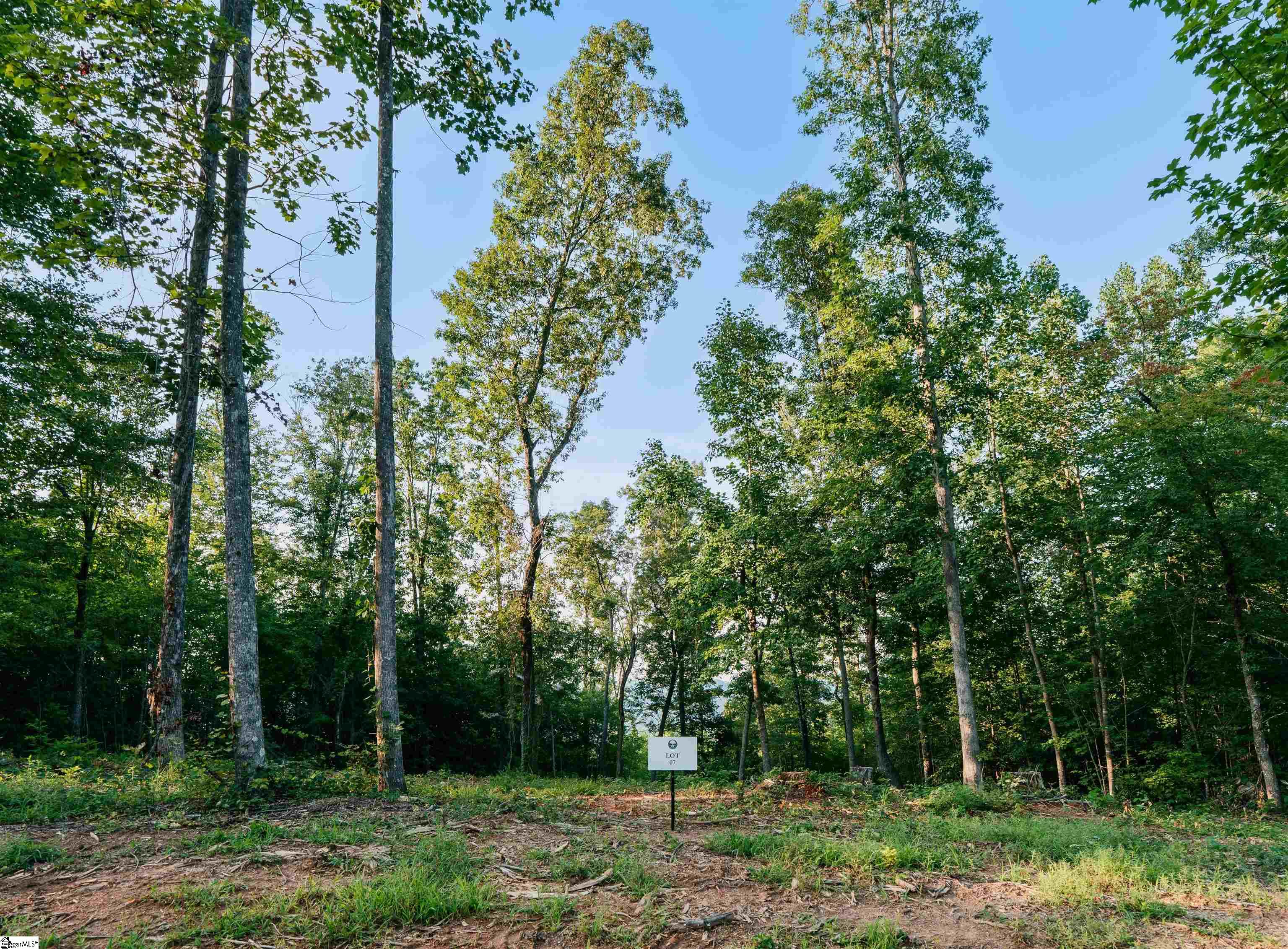 200 Chestnut Mountain Road Property Photo 1