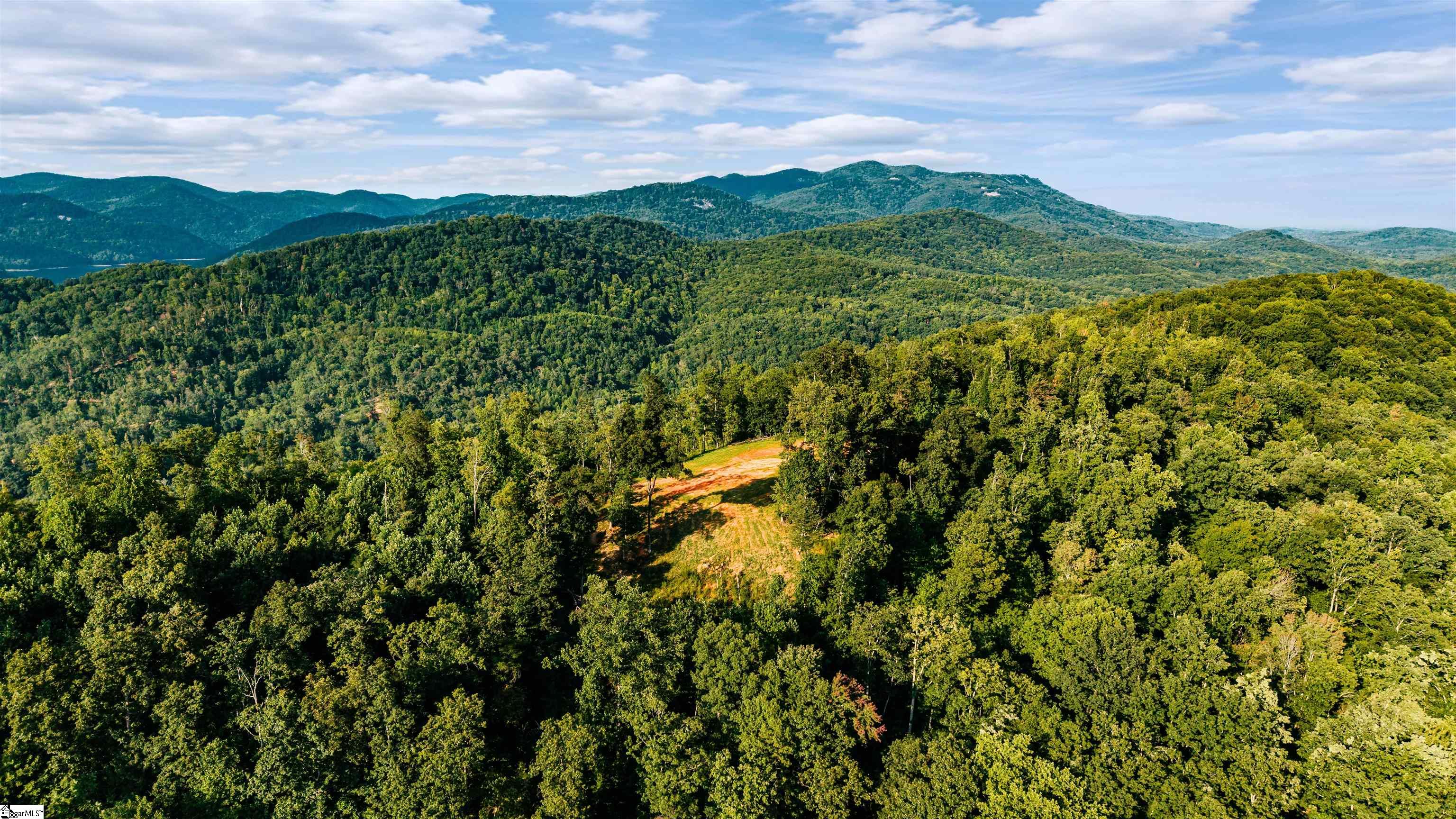 200 Chestnut Mountain Road Property Photo 2