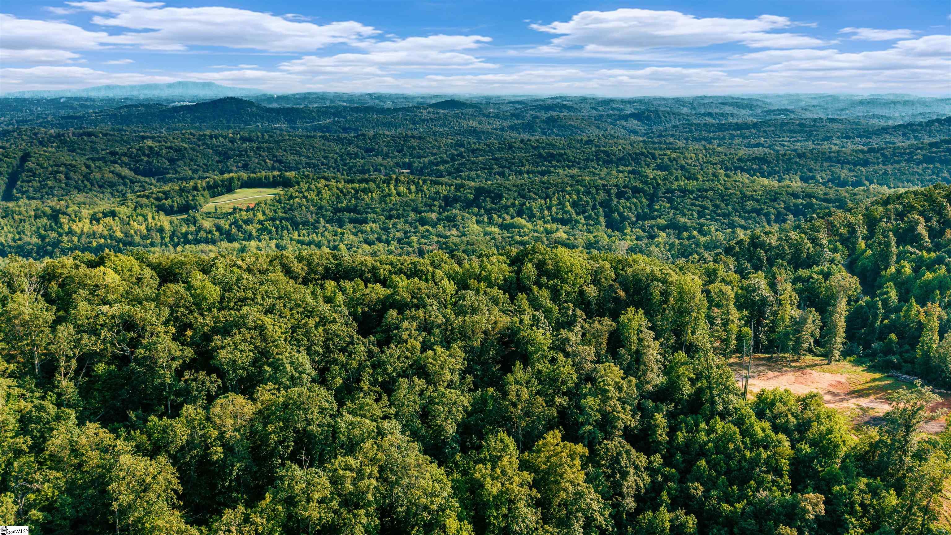200 Chestnut Mountain Road Property Photo 4