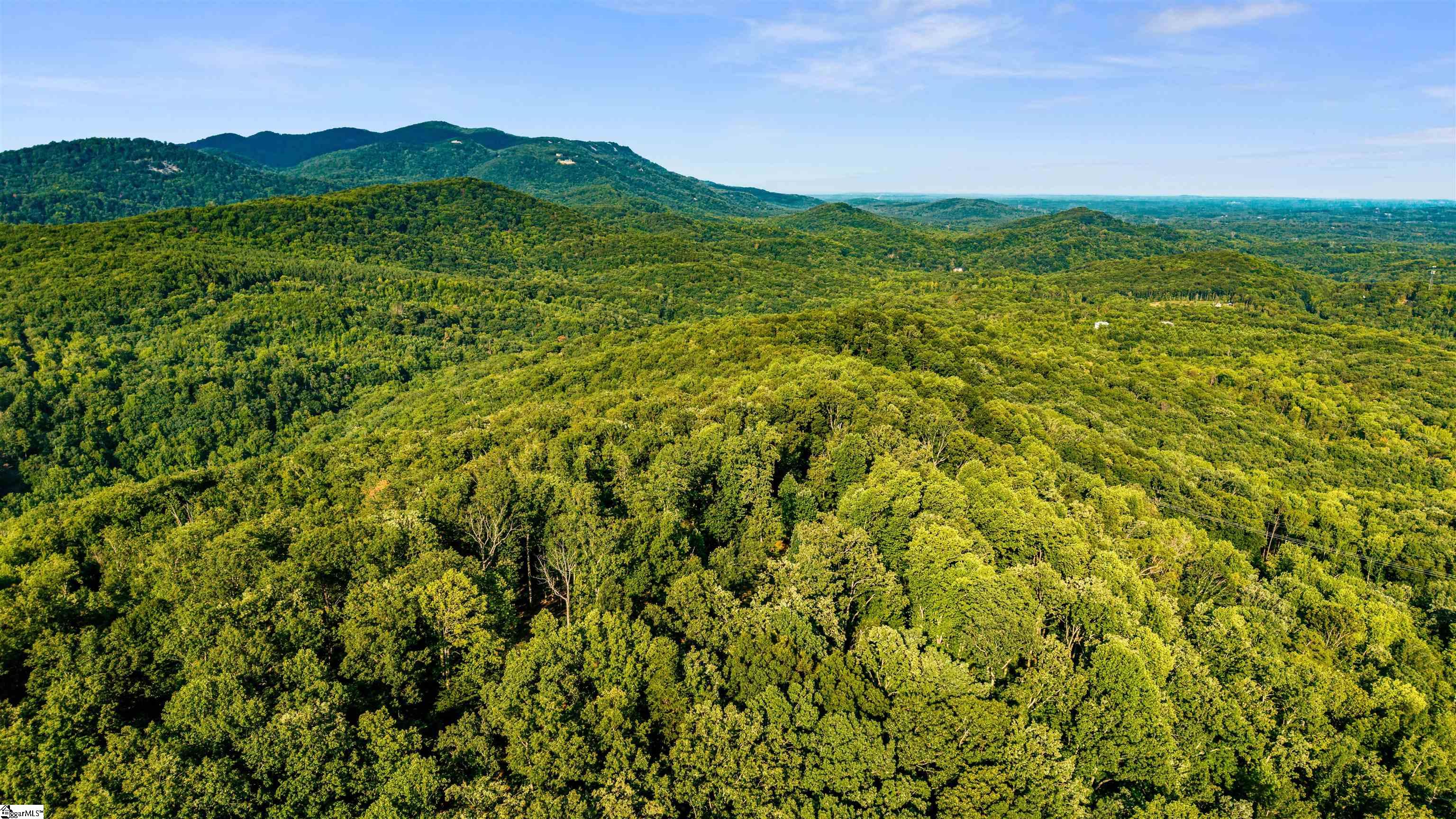 200 Chestnut Mountain Road Property Photo 5