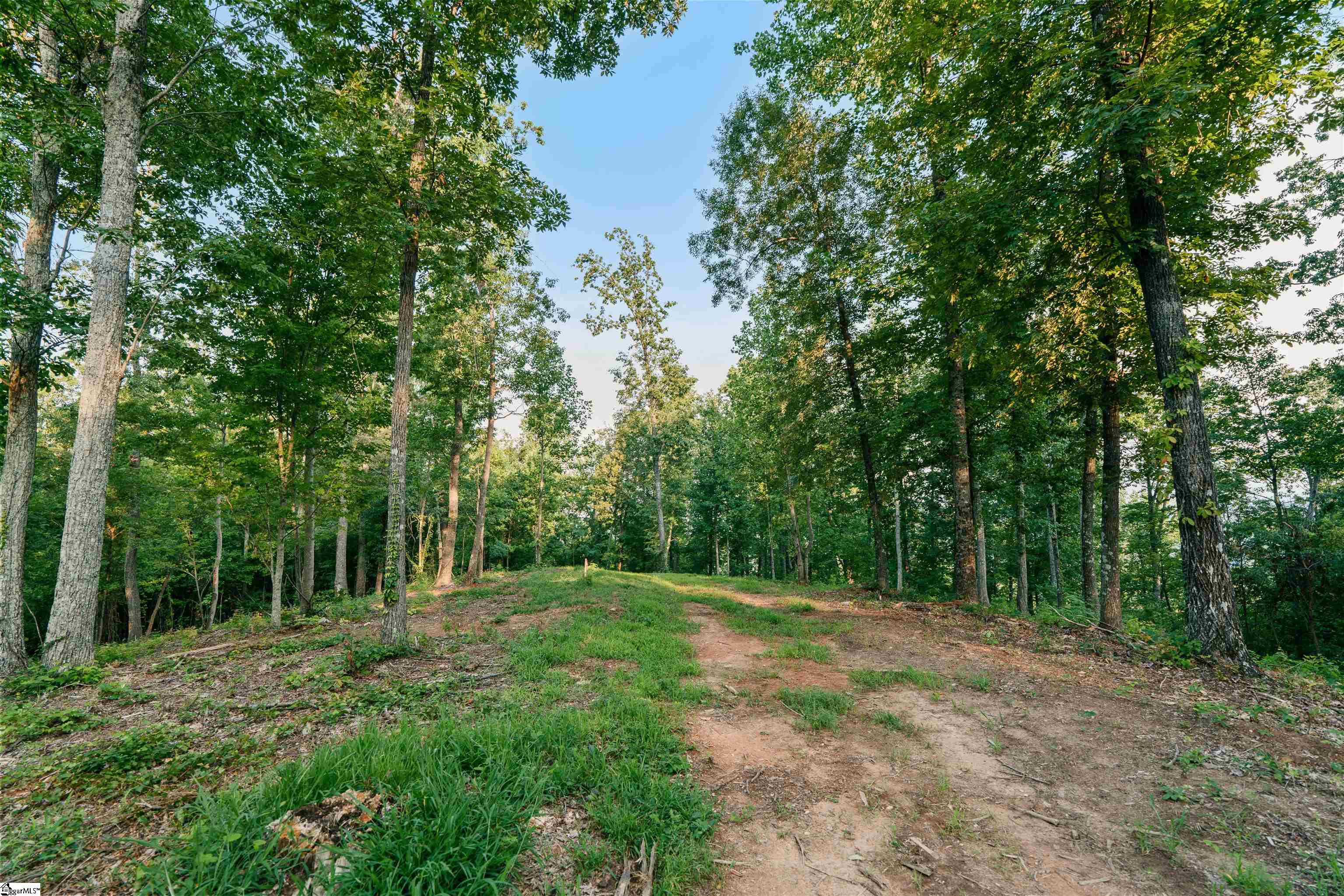 200 Chestnut Mountain Road Property Photo 1