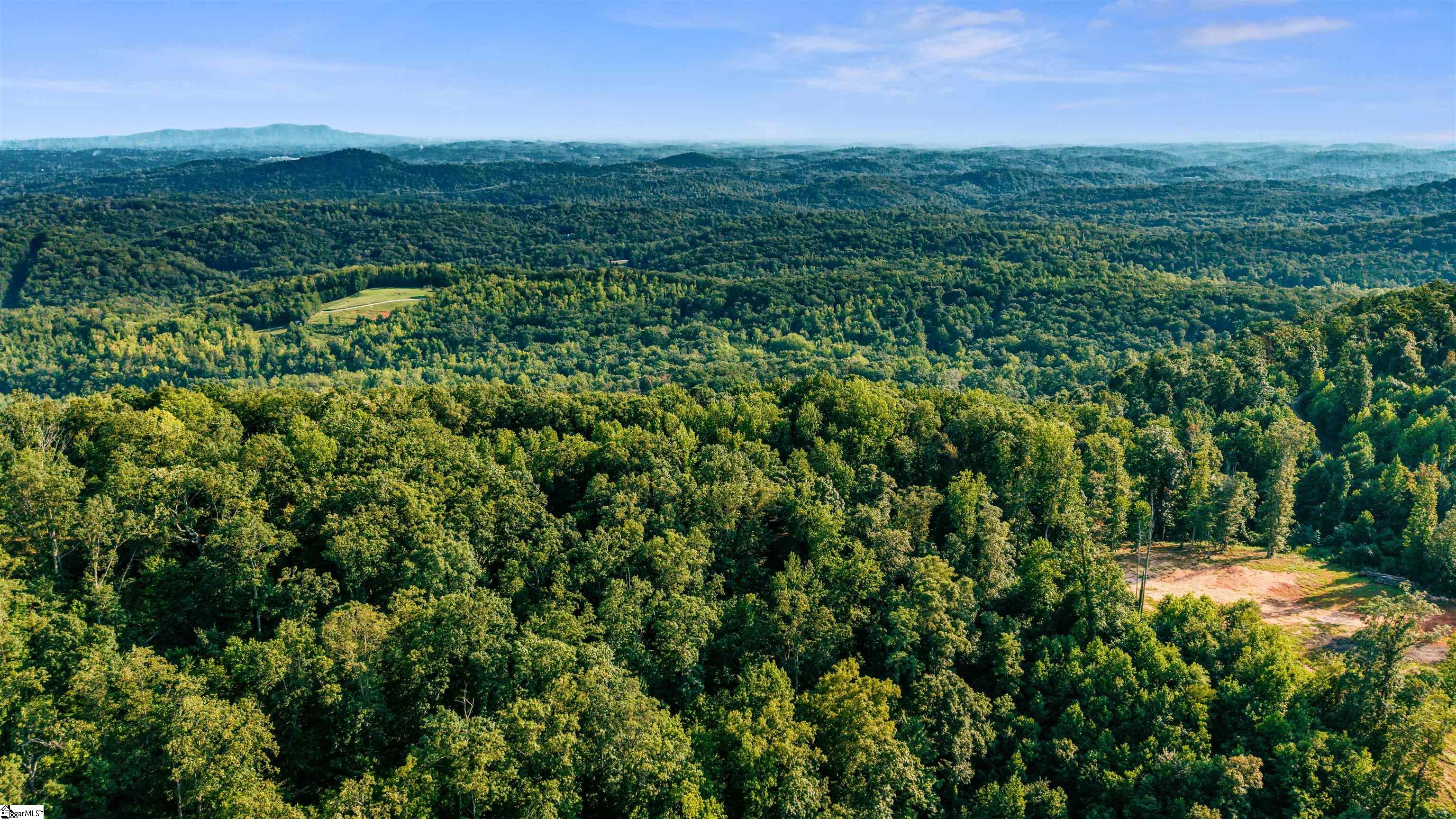 200 Chestnut Mountain Road Property Photo 2